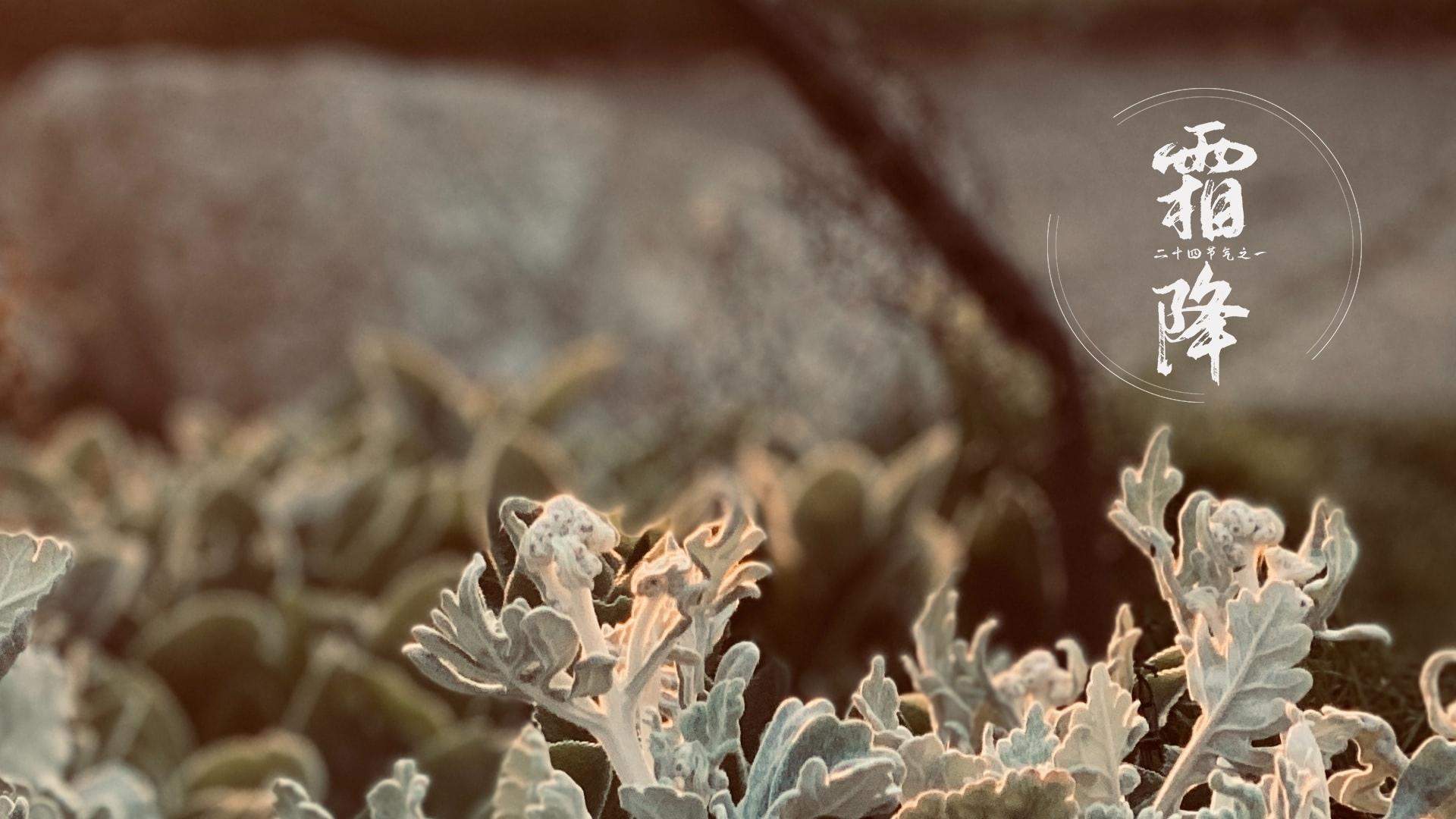 意大利多罗米蒂风景图片图片