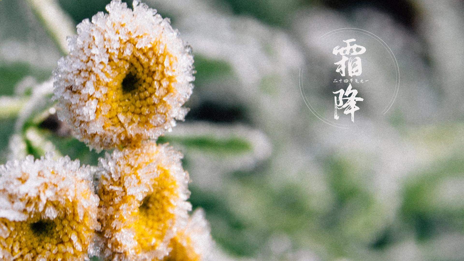 意大利多罗米蒂风景图片图片