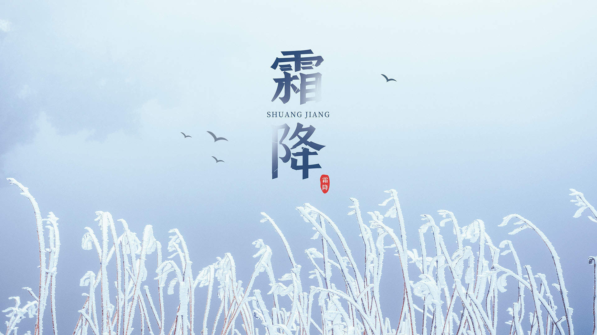 24节气霜降优美风景电脑壁纸图片