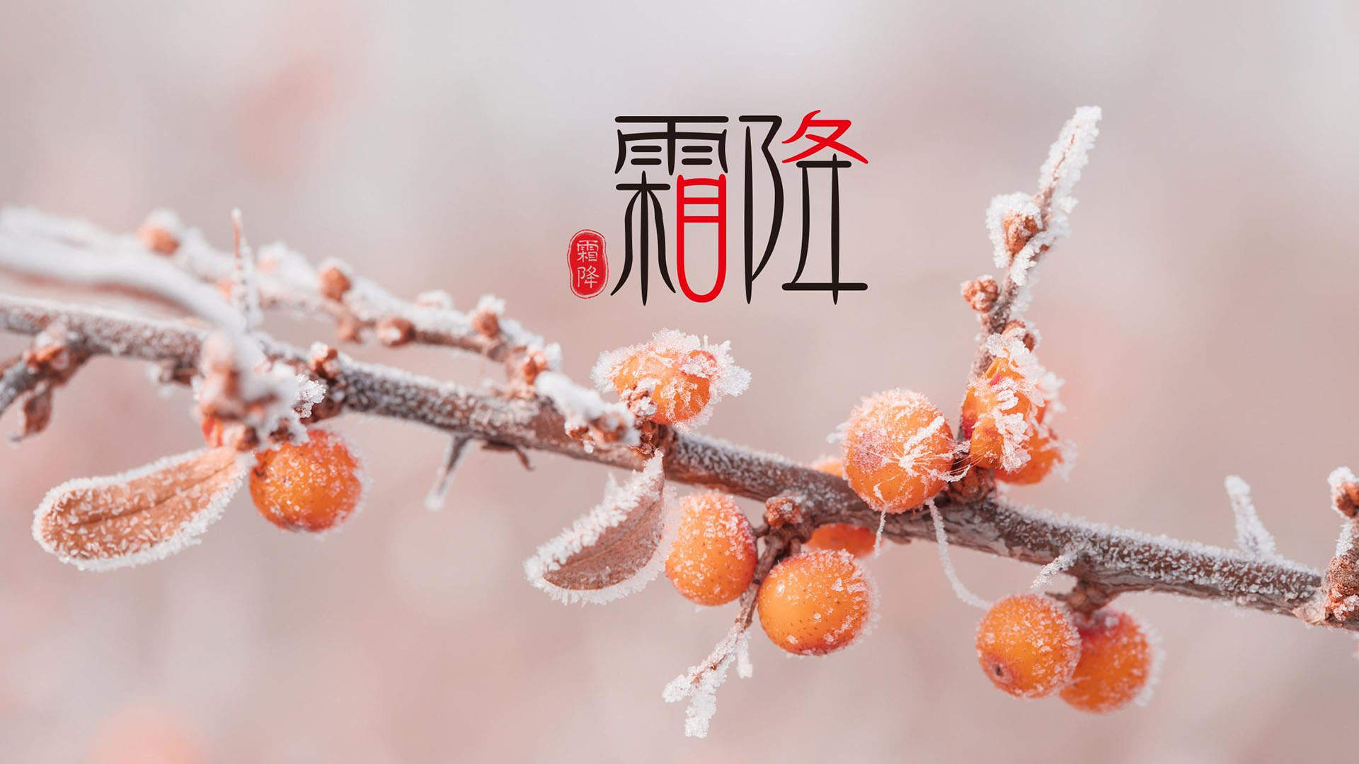 美丽风景图图片