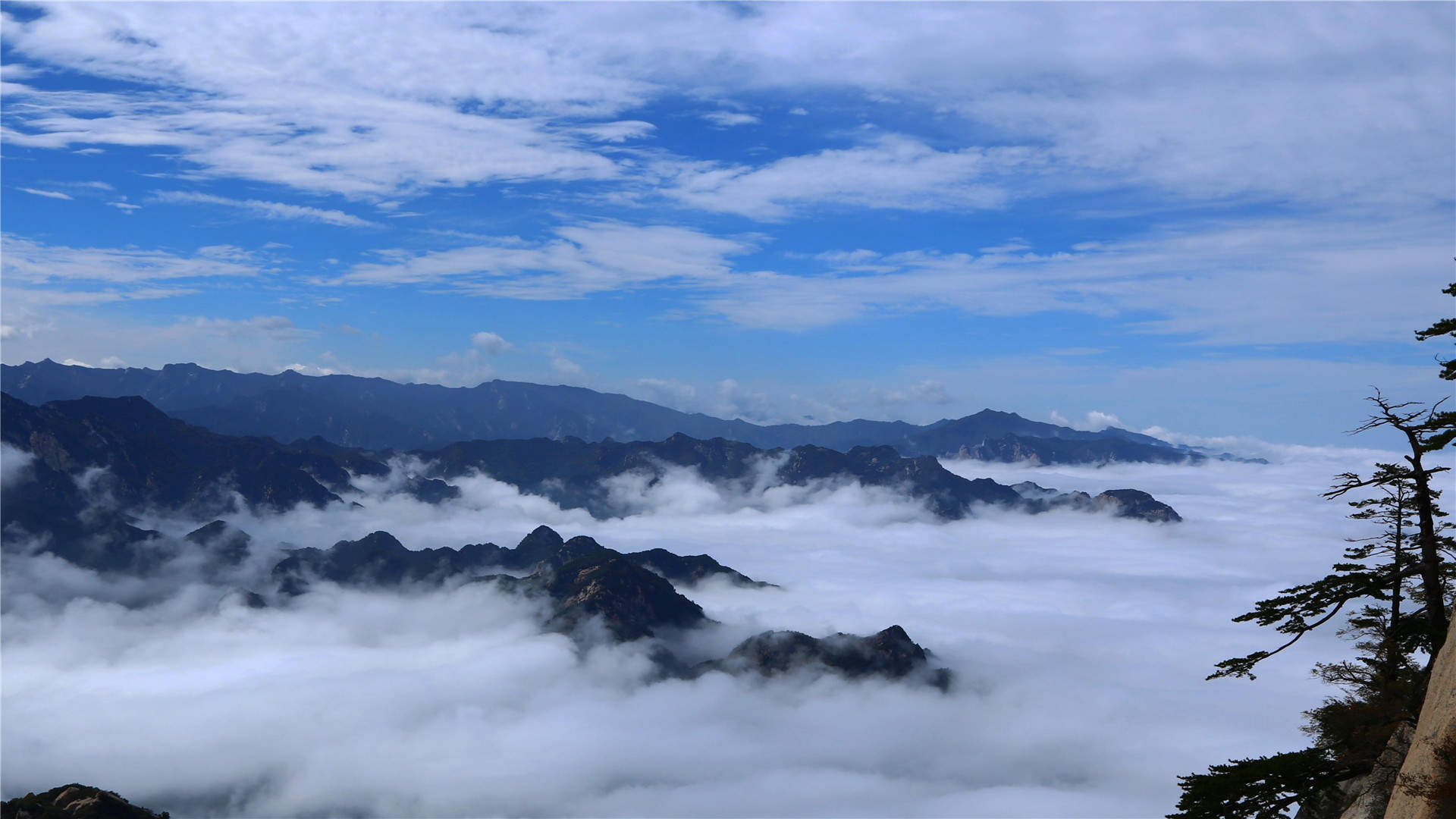 华山风景图片