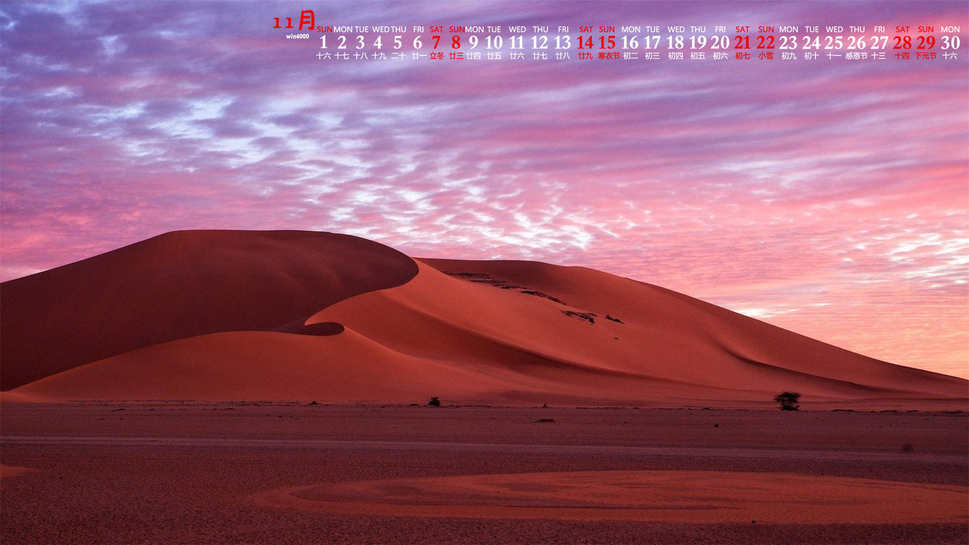 古埃及沙漠骆驼自然风景摄影精选壁纸图片图片