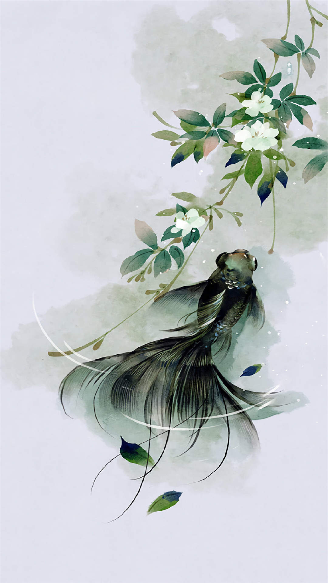 淡水鱼图片