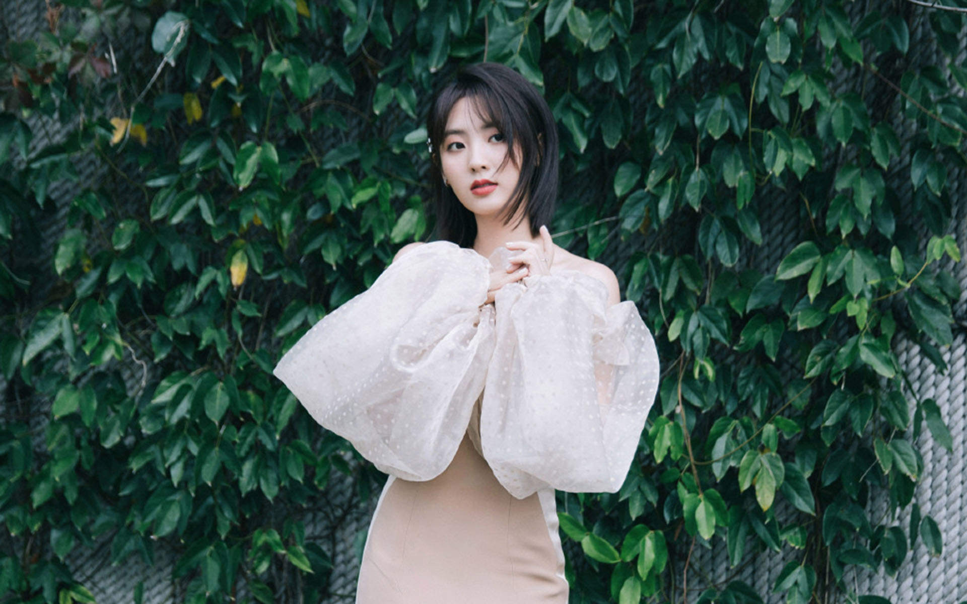 邢菲图片