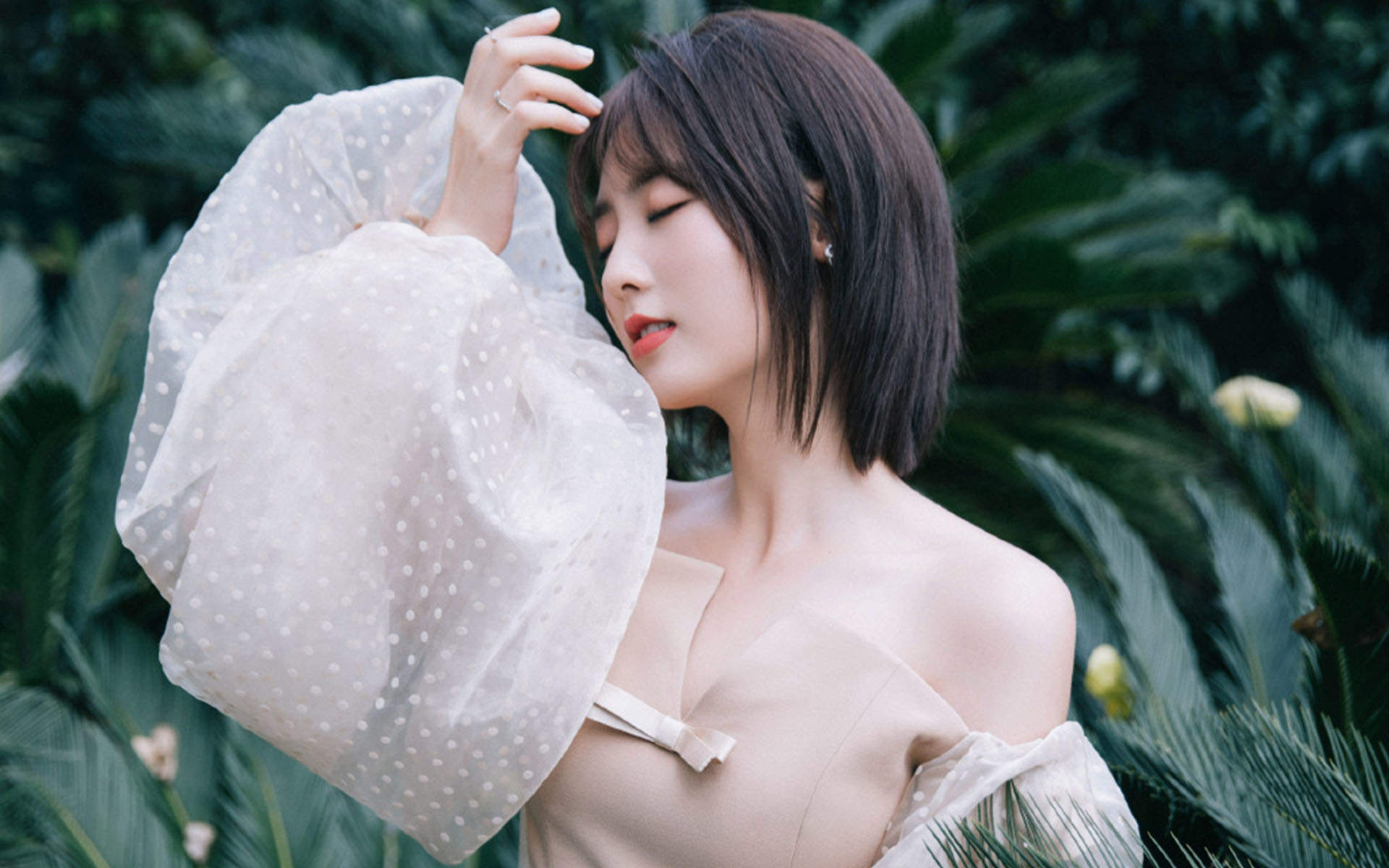 邢菲图片