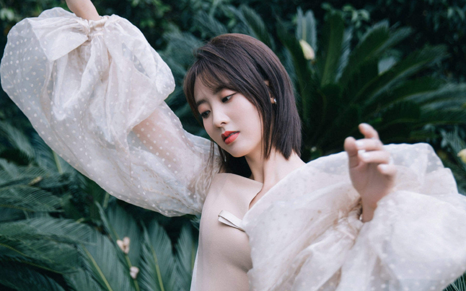 邢菲图片