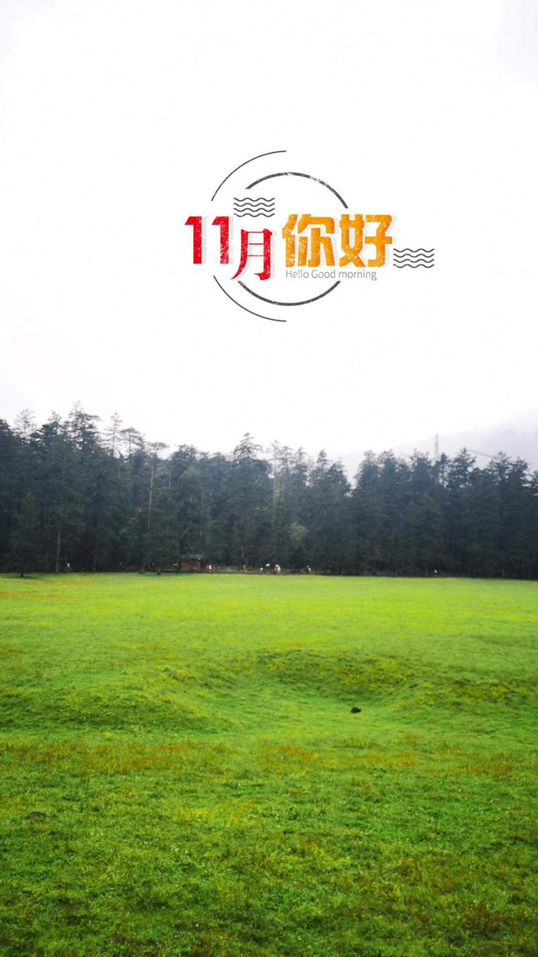 江疏影气质优雅高清手机壁纸图片