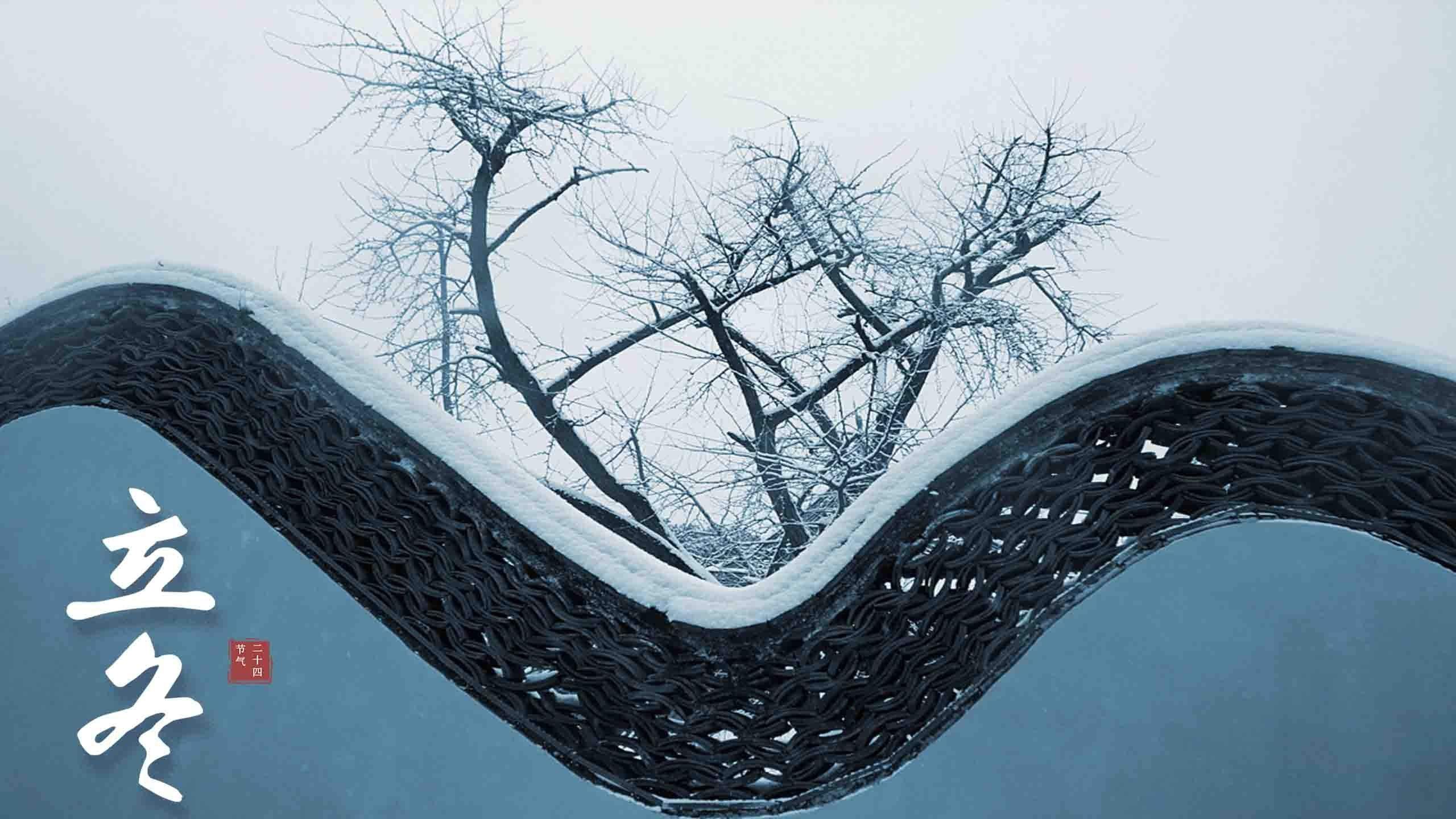 王丽坤清纯靓丽雪景写真图片图片