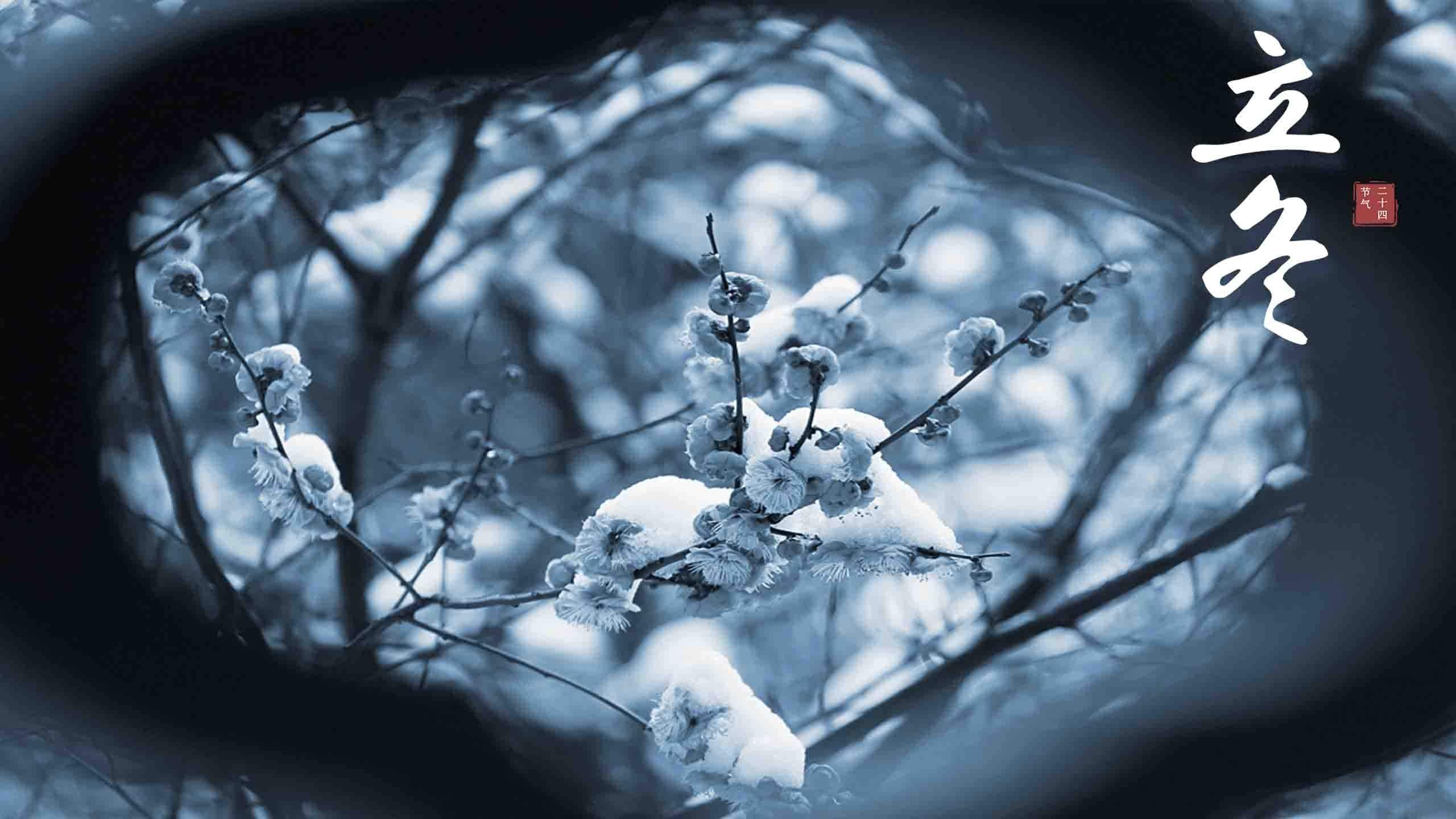王丽坤清纯靓丽雪景写真图片图片