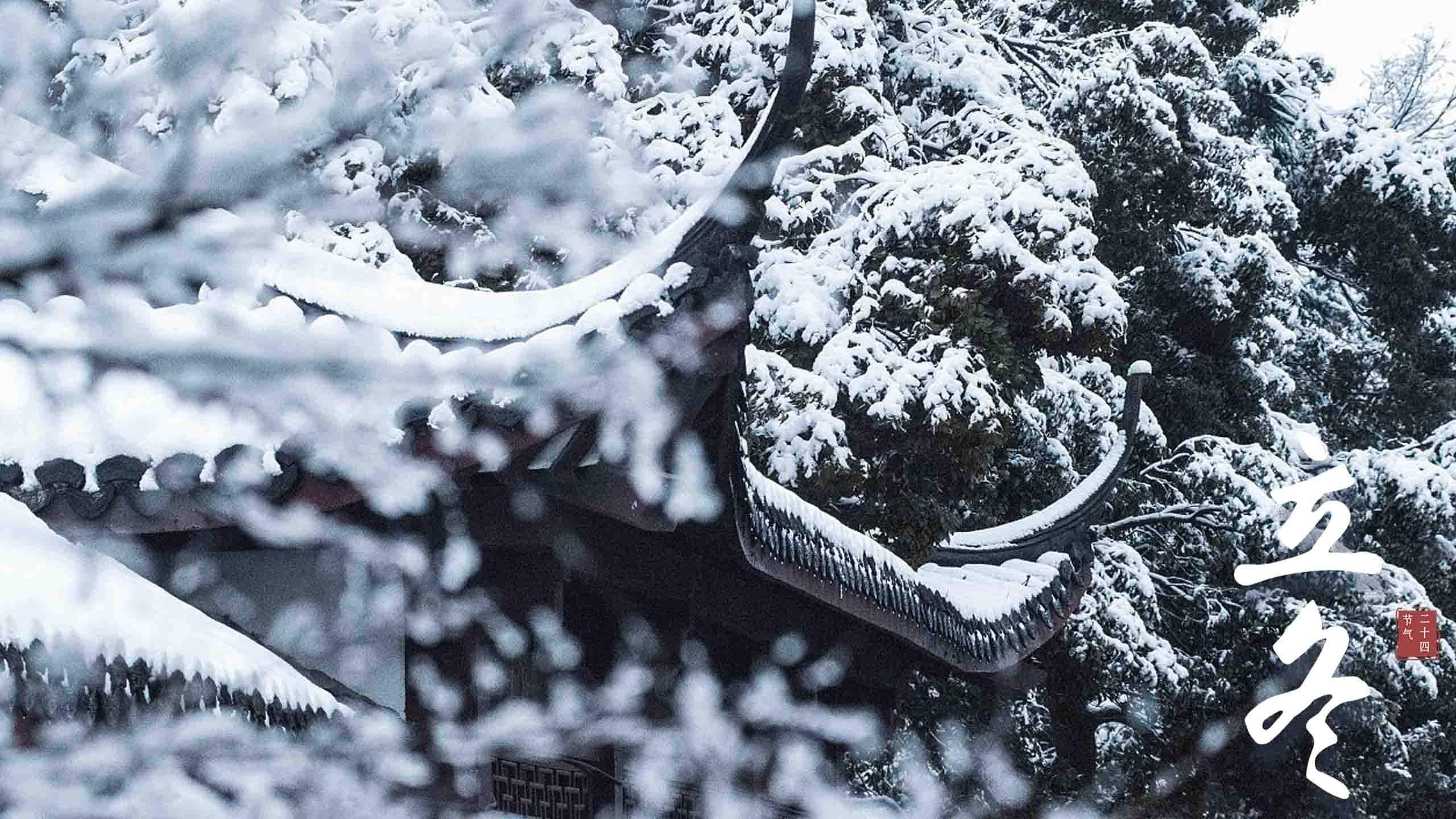 宁心露脐装雪景自拍图片图片