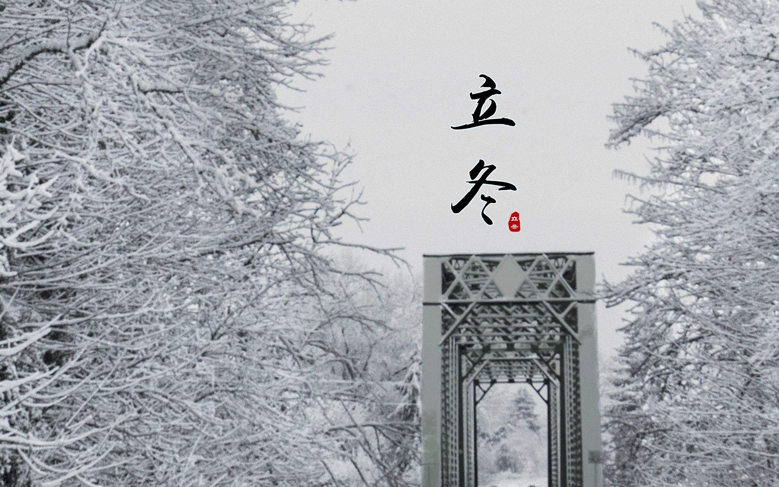 郑秀妍日本函馆冬日雪景唯美写真图片图片