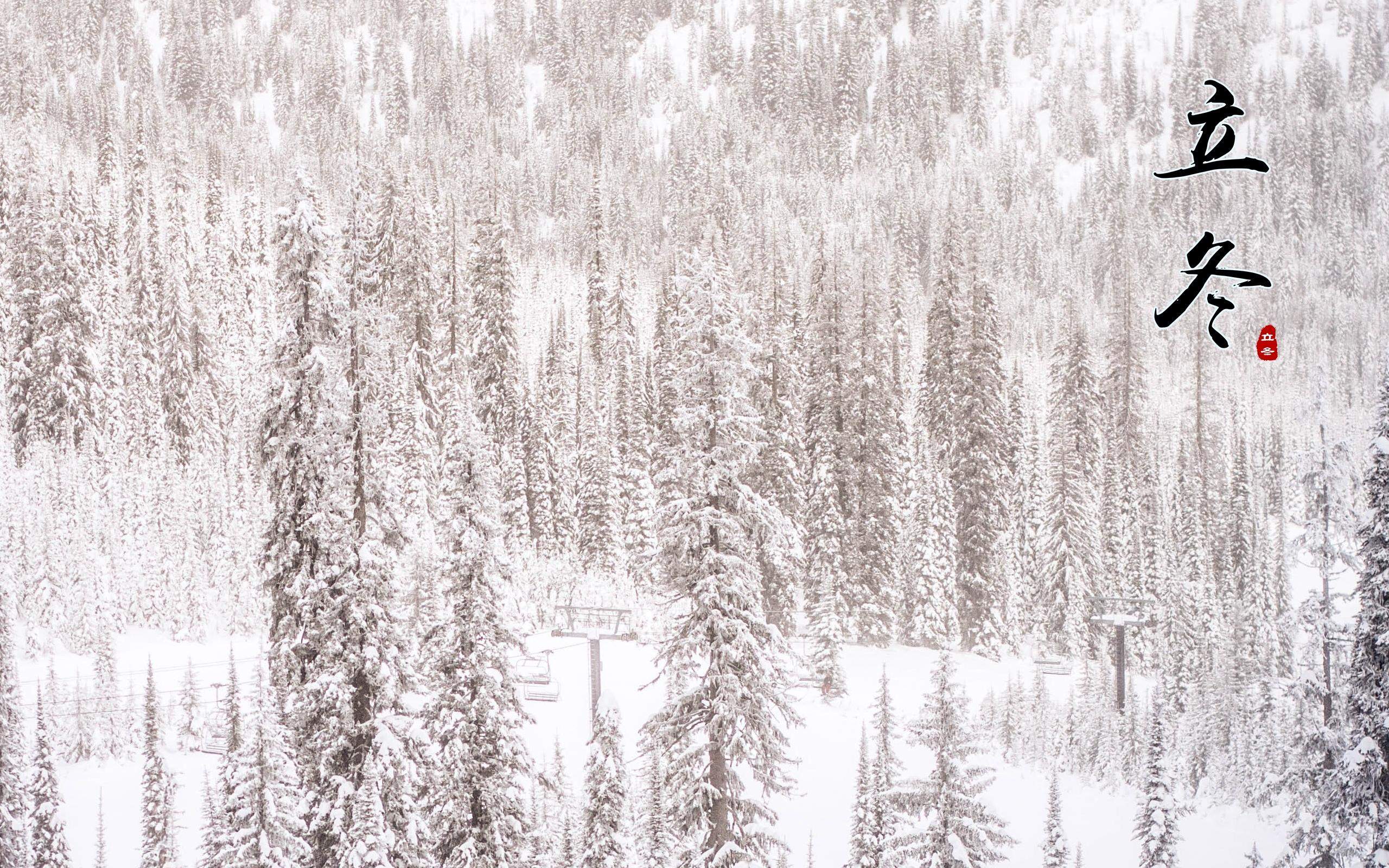 郑秀妍日本函馆冬日雪景唯美写真图片图片