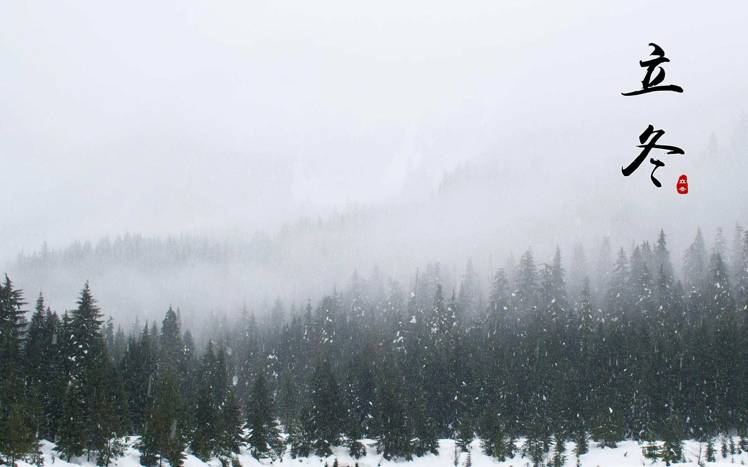 郑秀妍日本函馆冬日雪景唯美写真图片图片