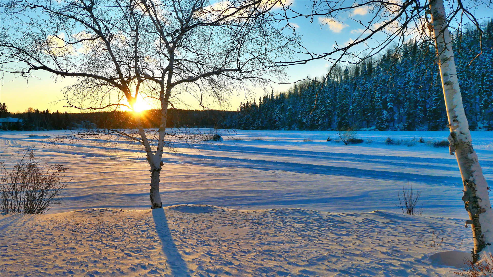 马苏雪景唯美浪漫写真图片图片