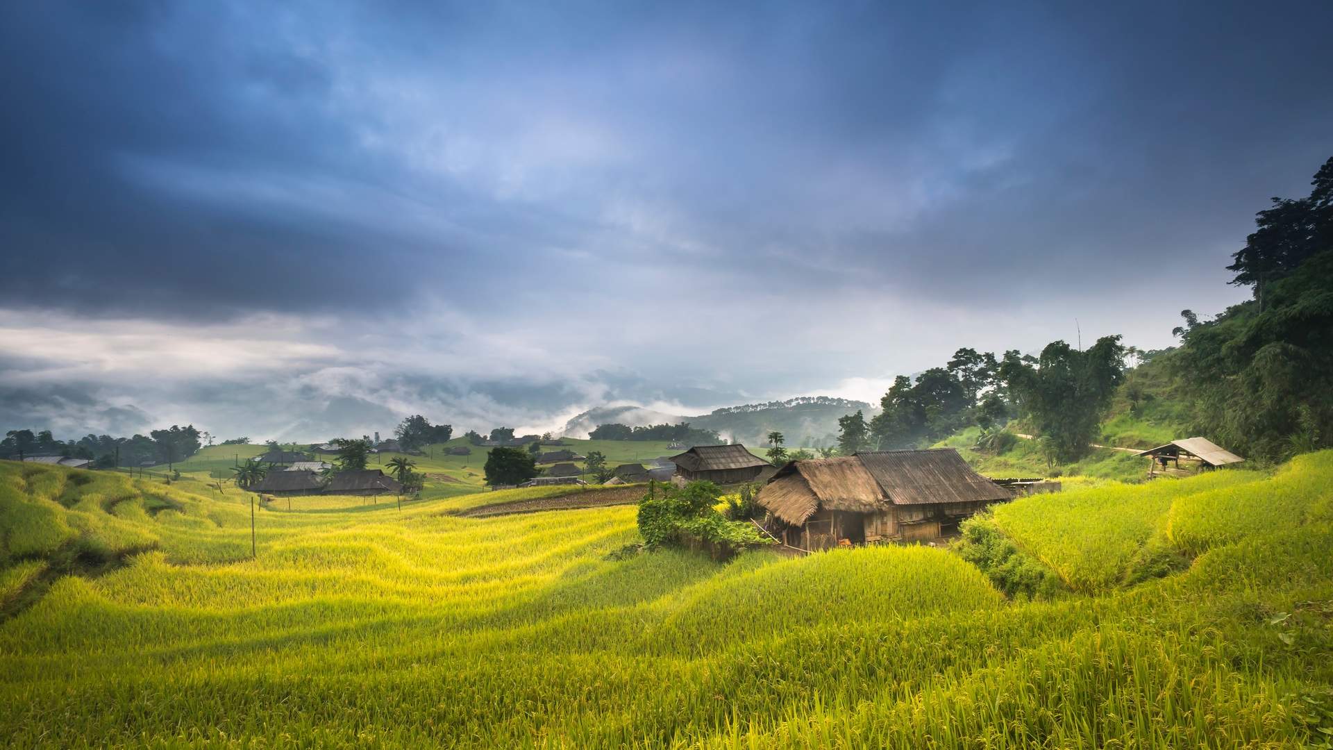 唯美夕阳清新大自然风景高清摄影图片 留住美好景色图片