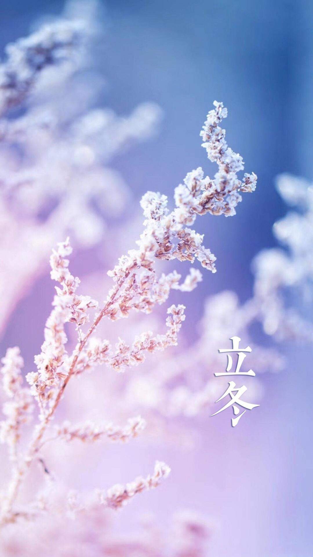 虞书欣优雅性感写真手机壁纸图片