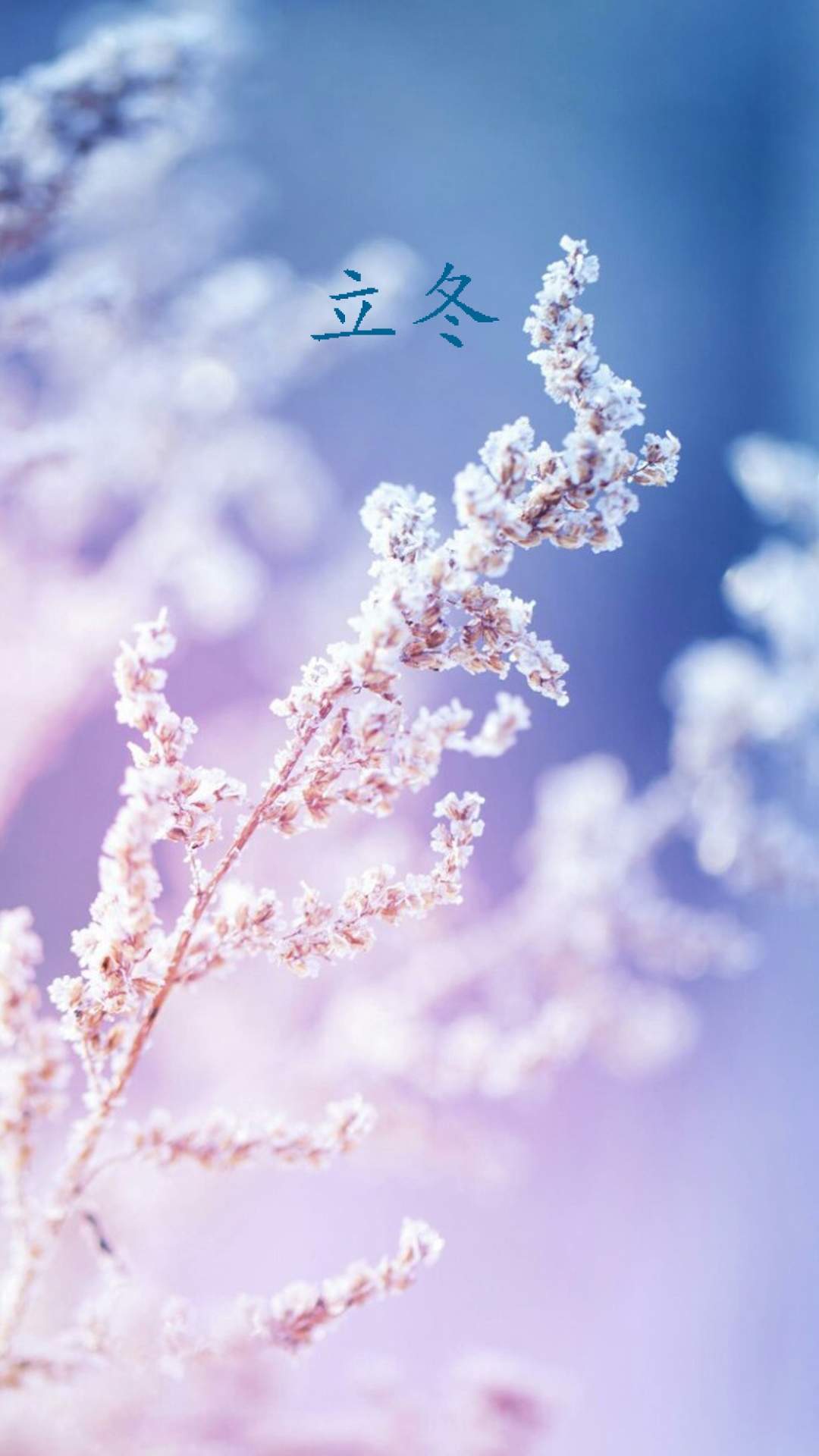 虞书欣优雅性感写真手机壁纸图片