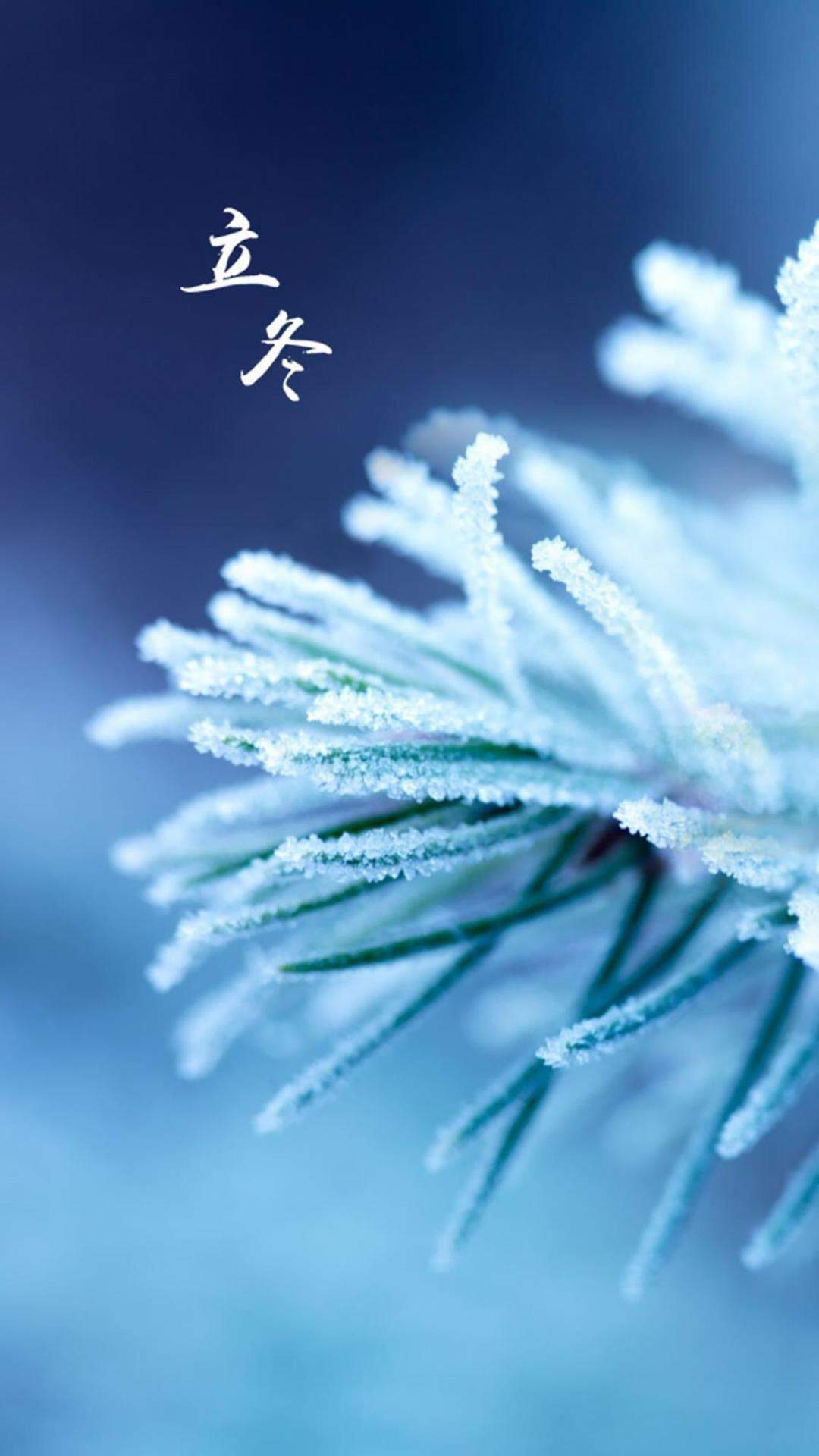 许佳琪仙气性感写真手机壁纸图片