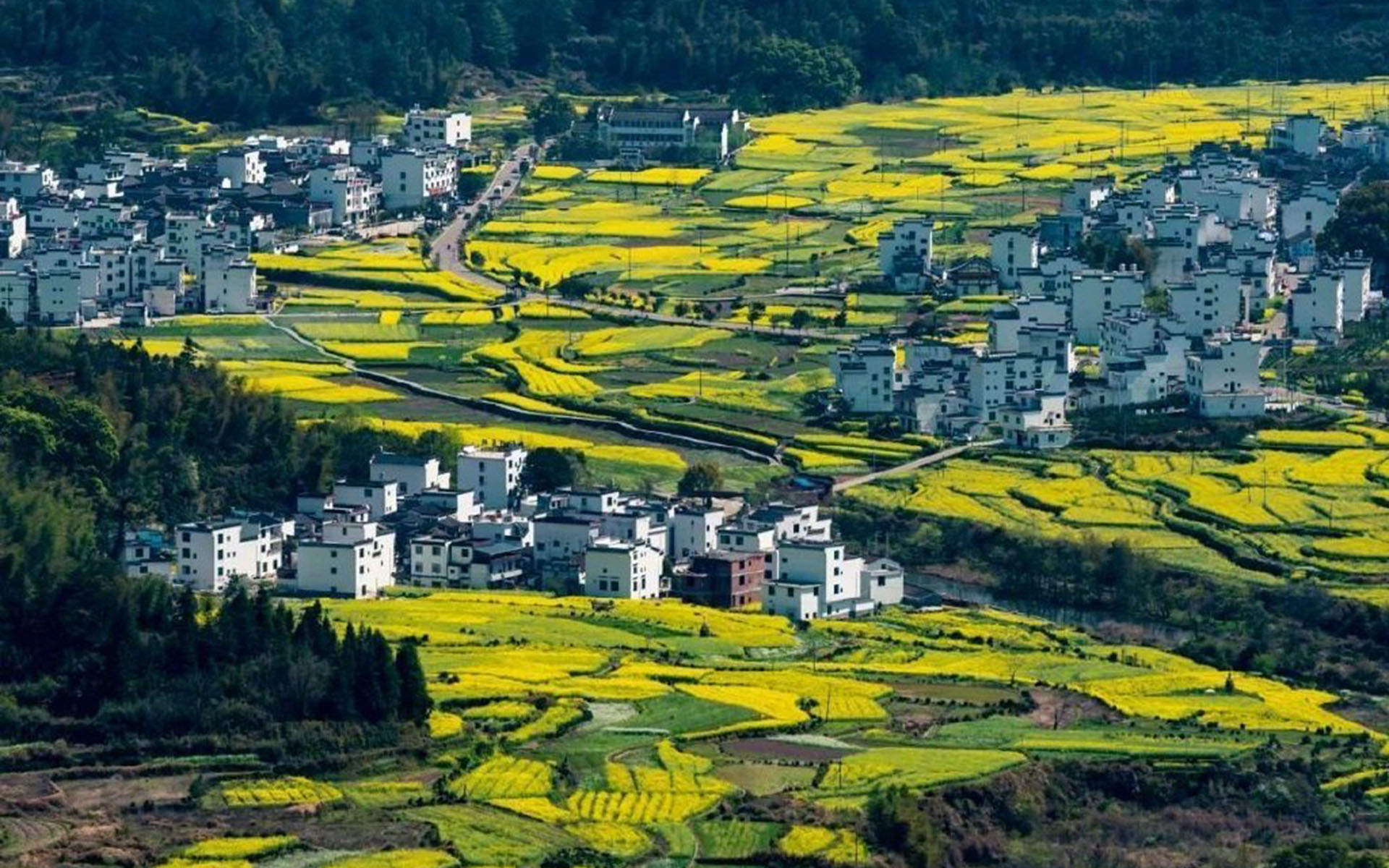 精选自然风景高清图片壁纸图片