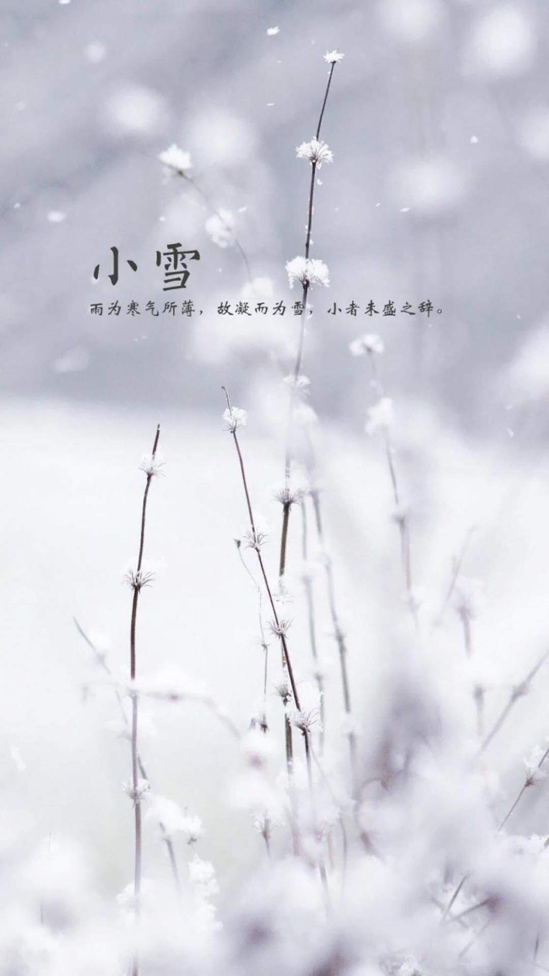 虞书欣优雅性感写真手机壁纸图片