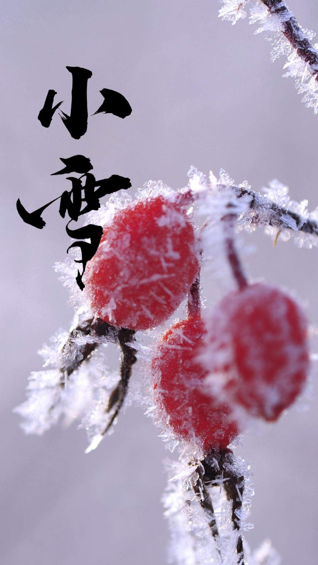 许佳琪仙气性感写真手机壁纸图片