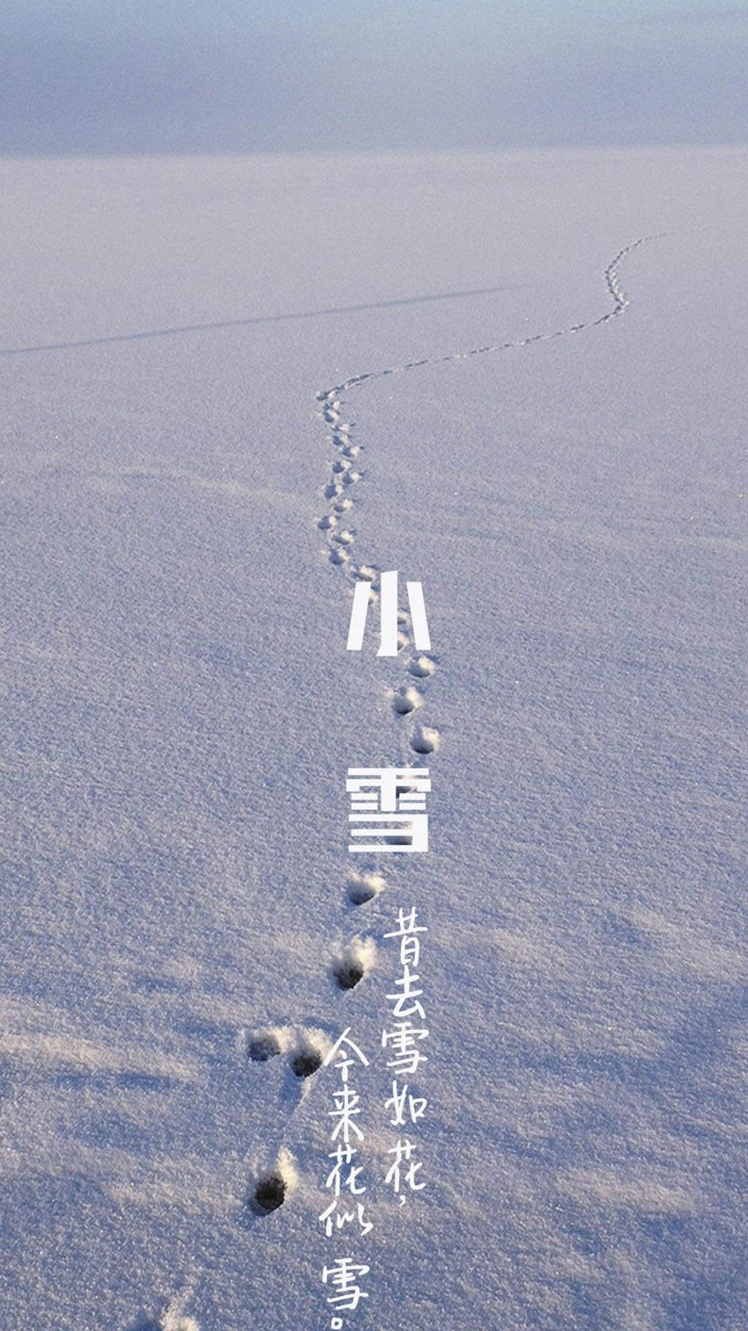 虞书欣优雅性感写真手机壁纸图片