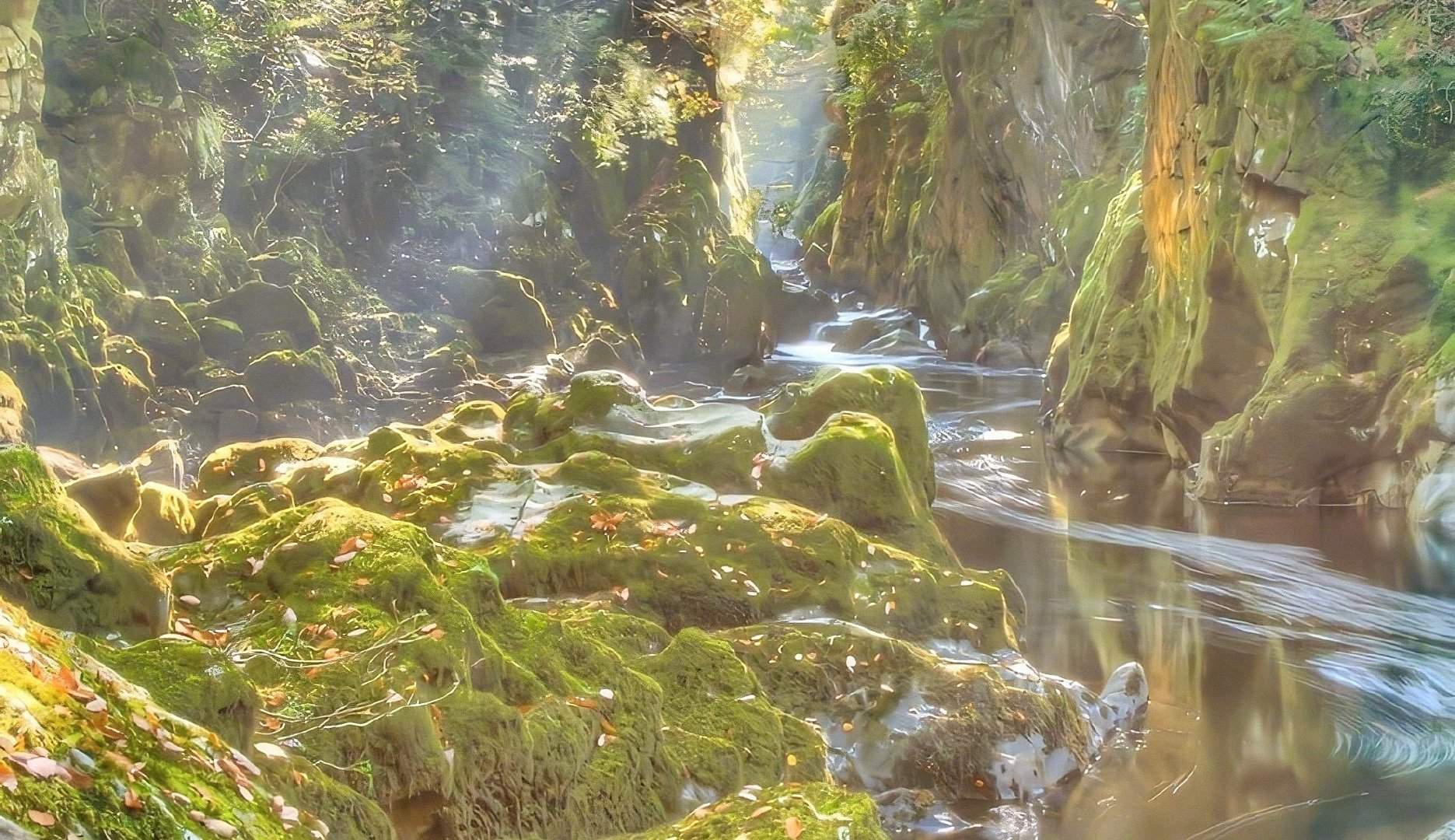 自然风景图片