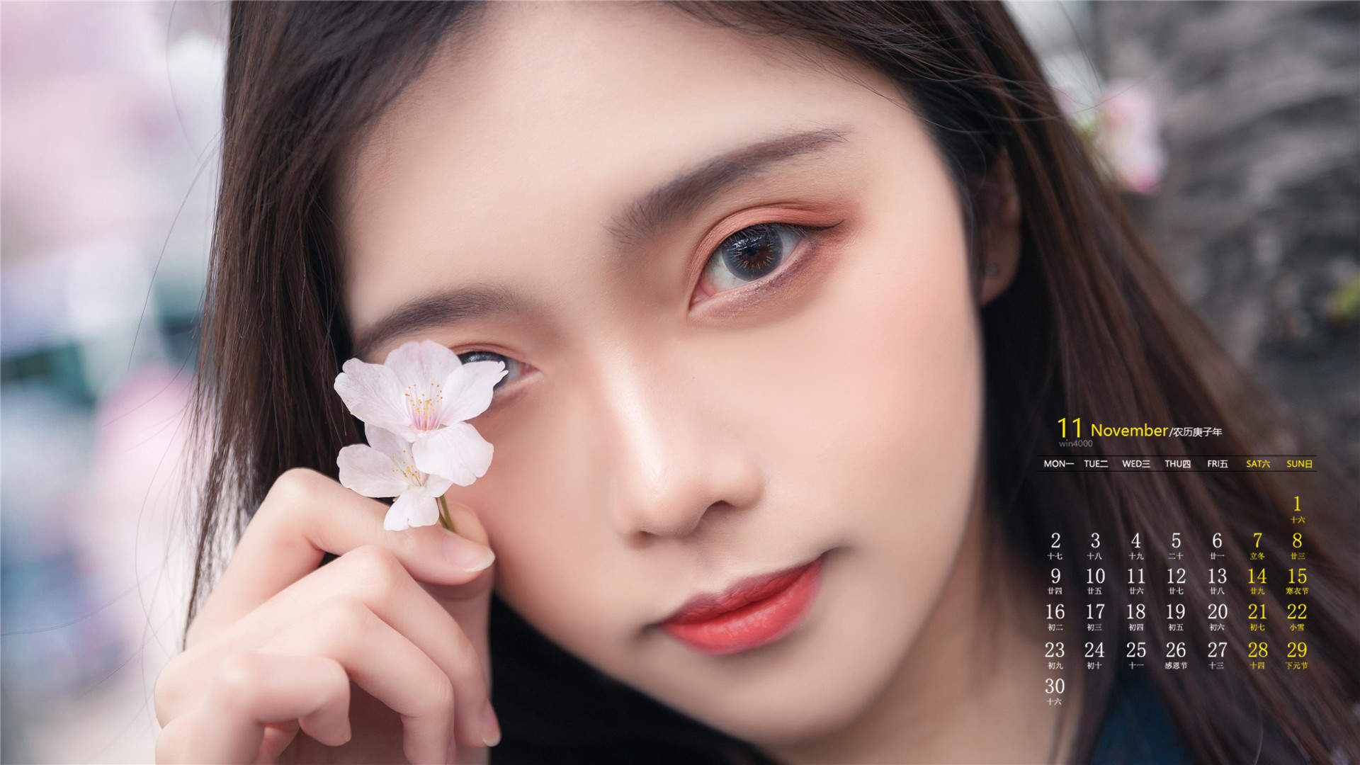 樱花图片图片