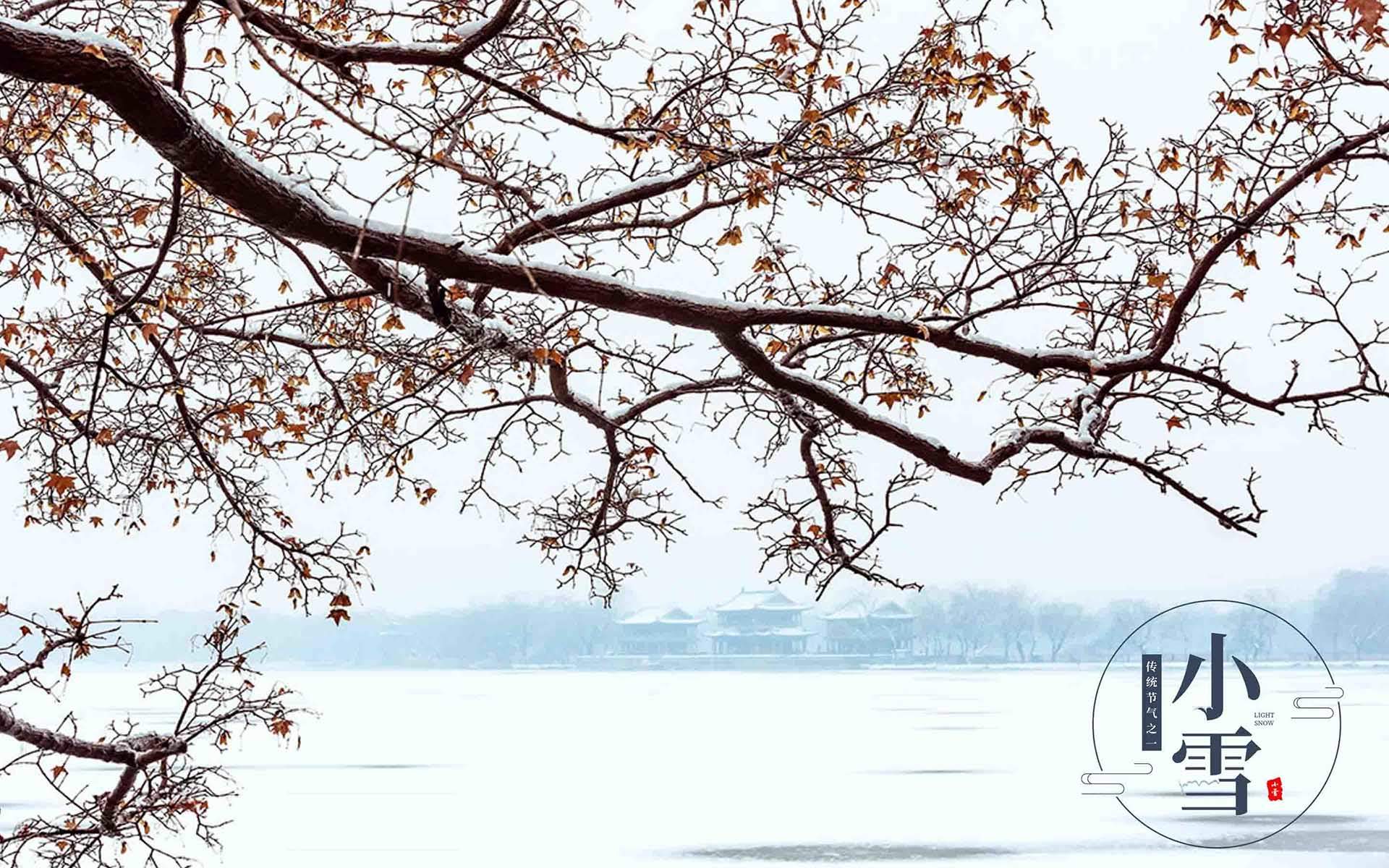 王丽坤清纯靓丽雪景写真图片图片