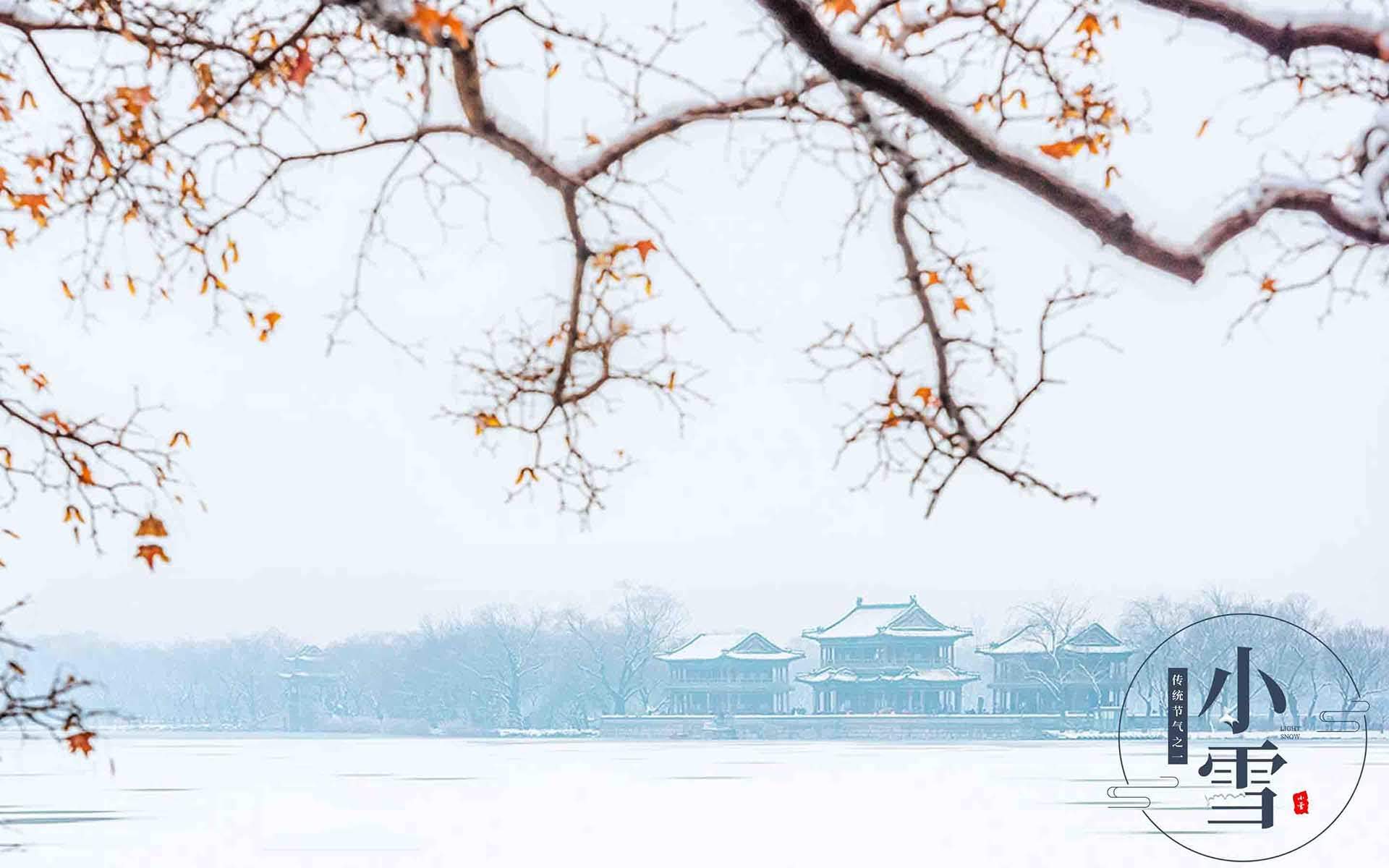 宁心露脐装雪景自拍图片图片