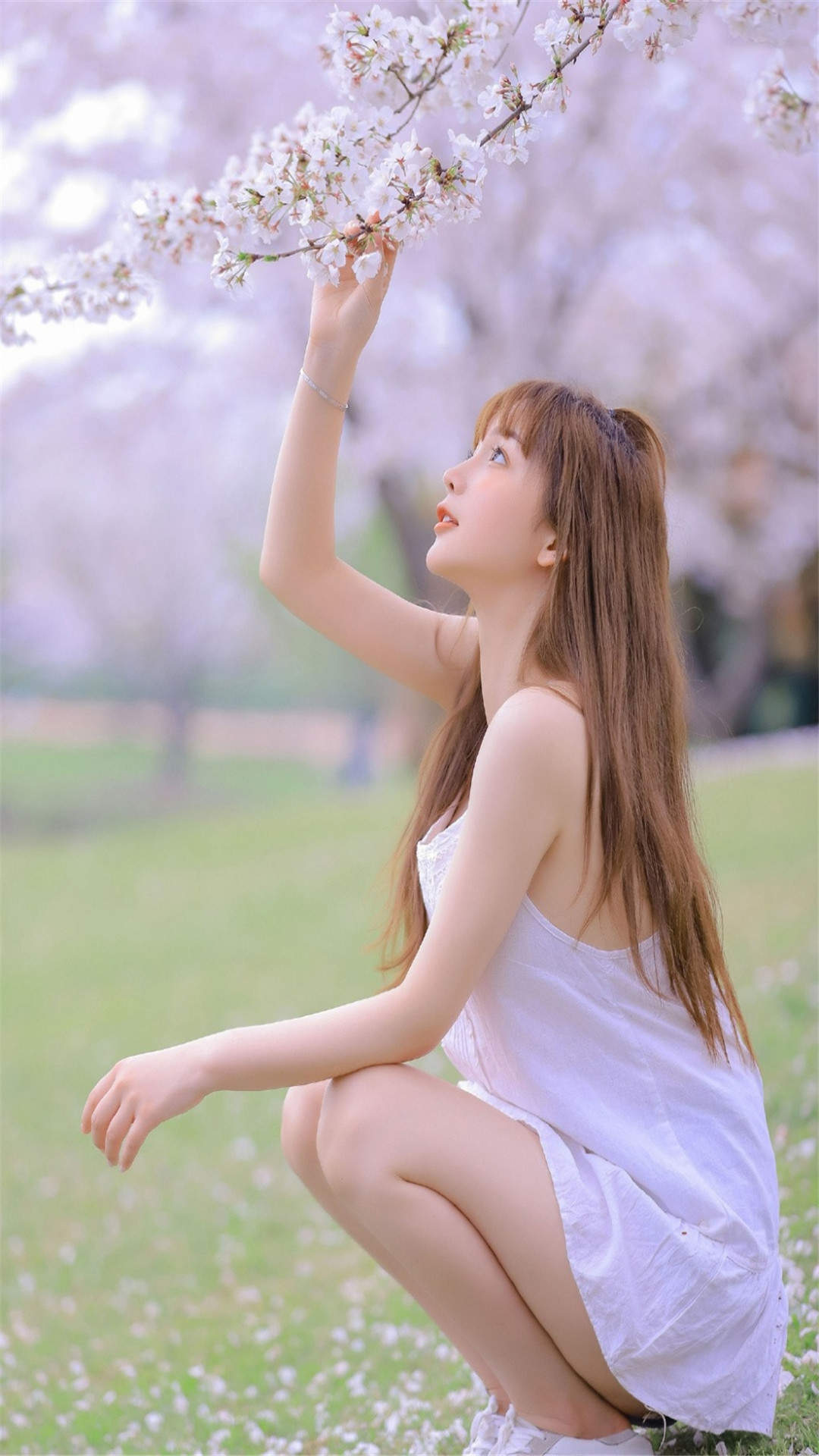 手机壁纸图片