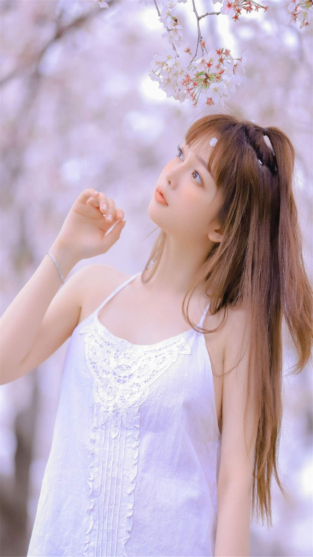 手机壁纸图片