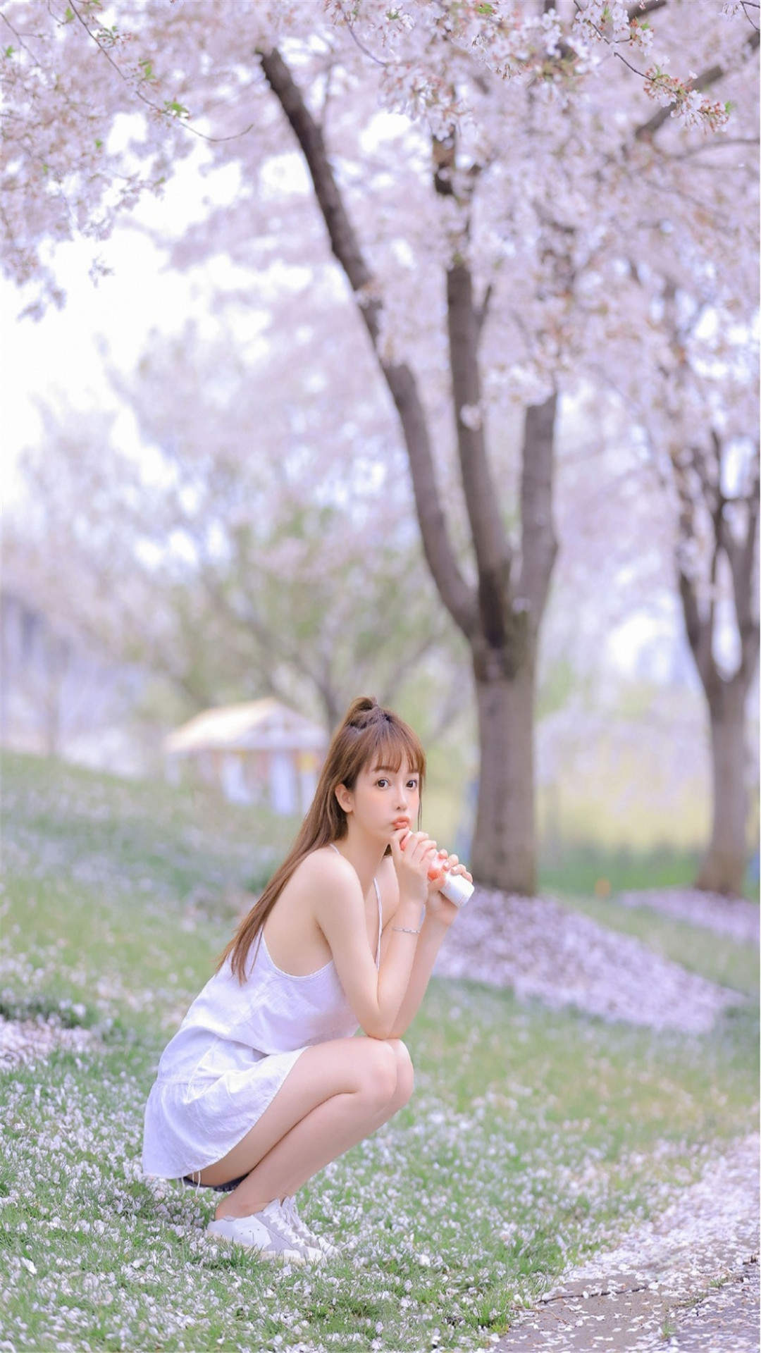 手机壁纸图片