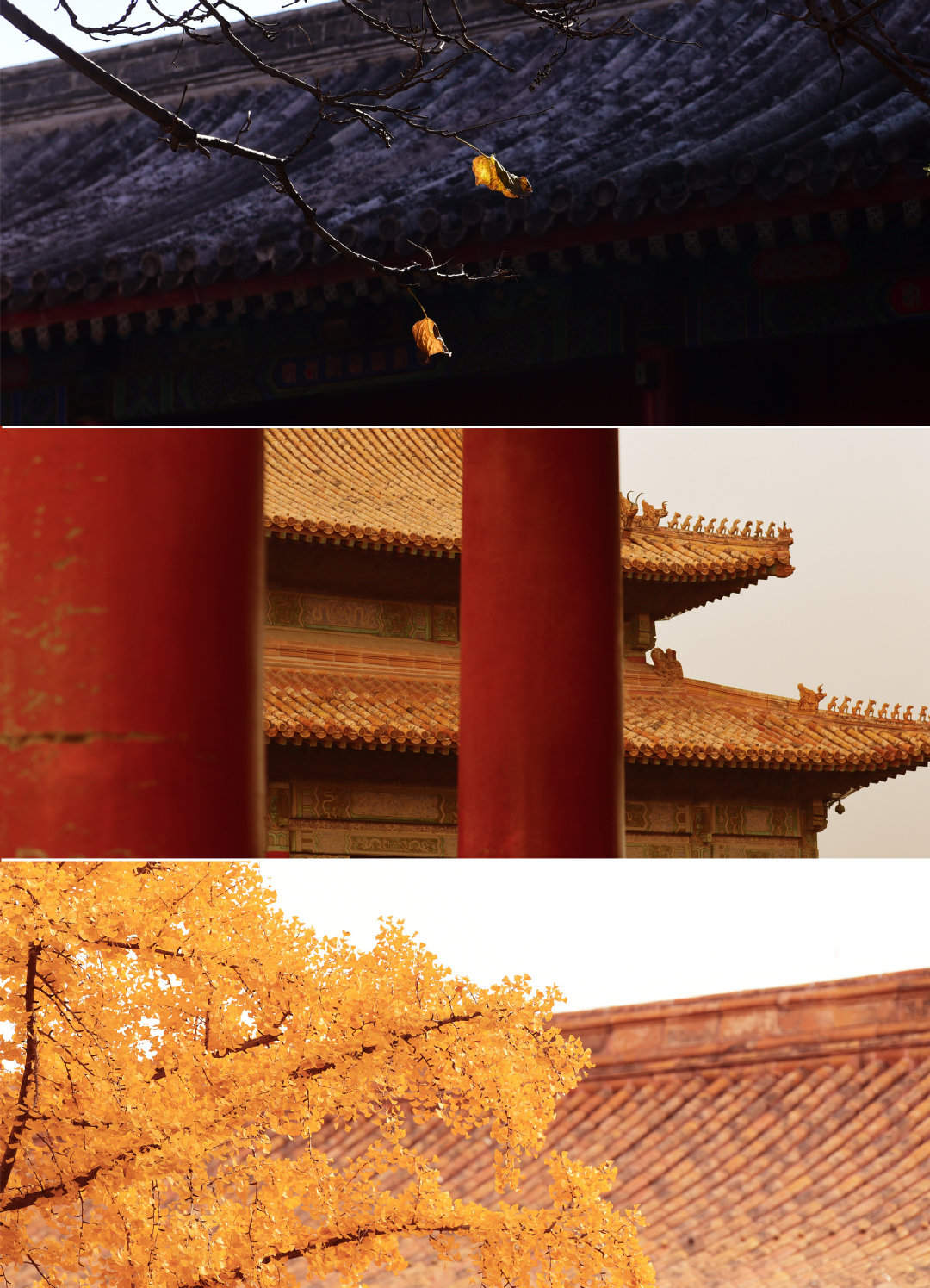 故宫的秋色唯美风景手机壁纸图片