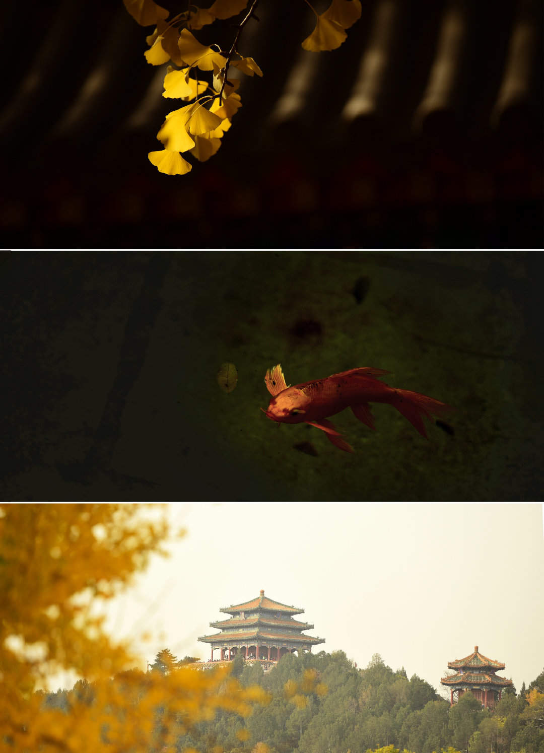 绝美梦幻的星空夜景手机壁纸图片