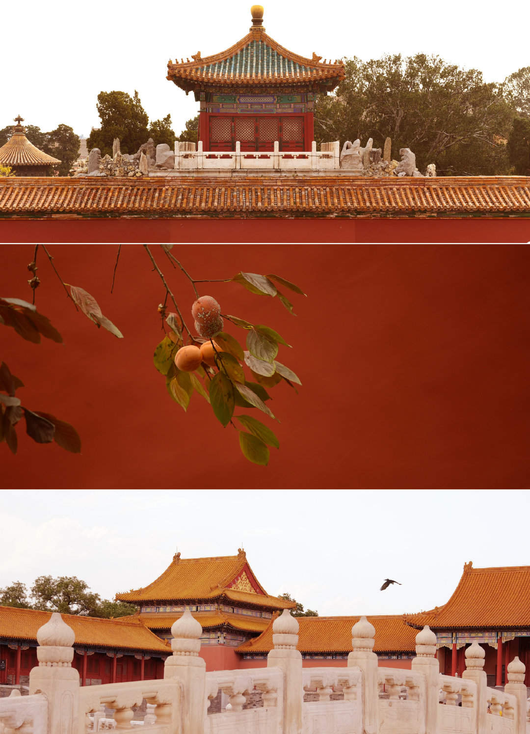 绝美梦幻的星空夜景手机壁纸图片