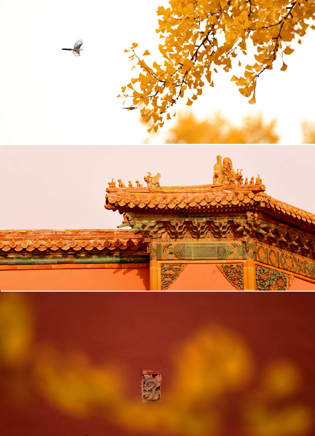 黑色背景文字语录图片手机壁纸图片