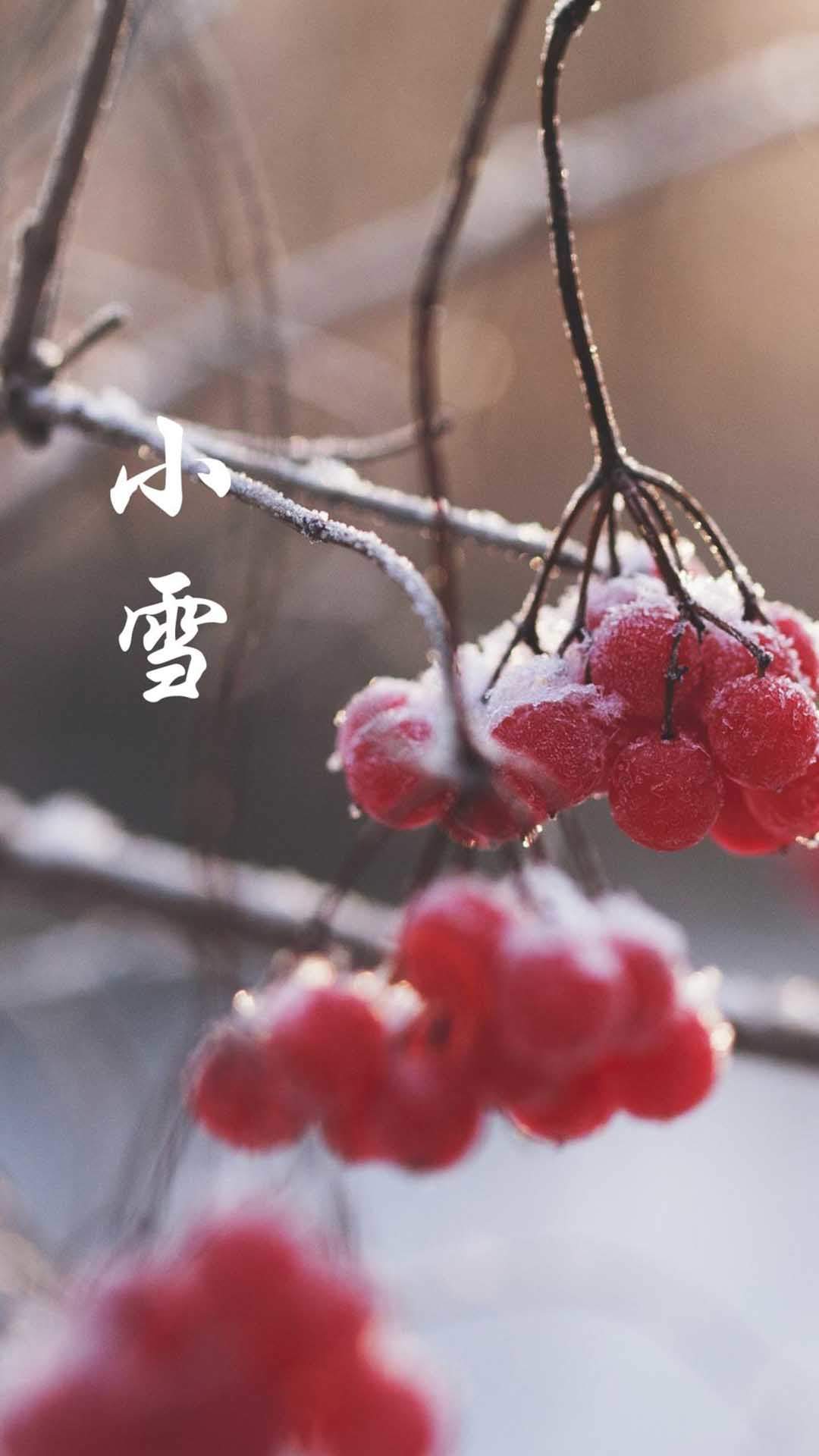 超模美女刘雯手机壁纸图片