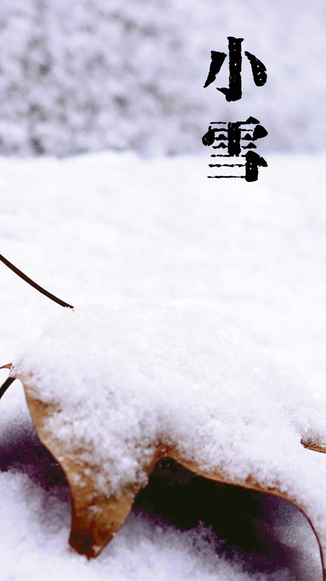 超模美女刘雯手机壁纸图片