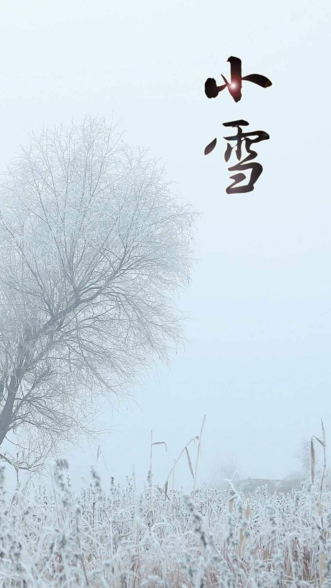 超模美女刘雯手机壁纸图片