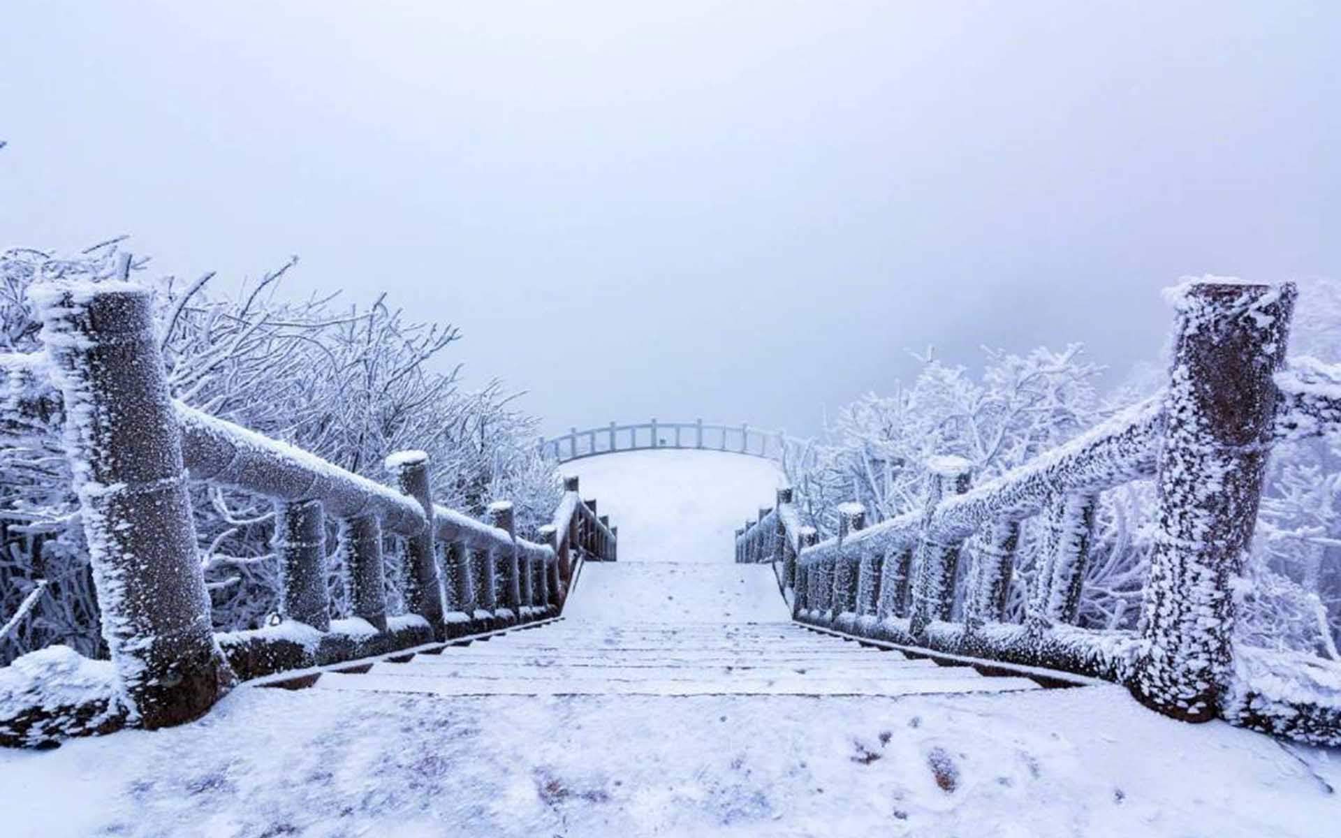 冯若绮清新雪景写真图片图片