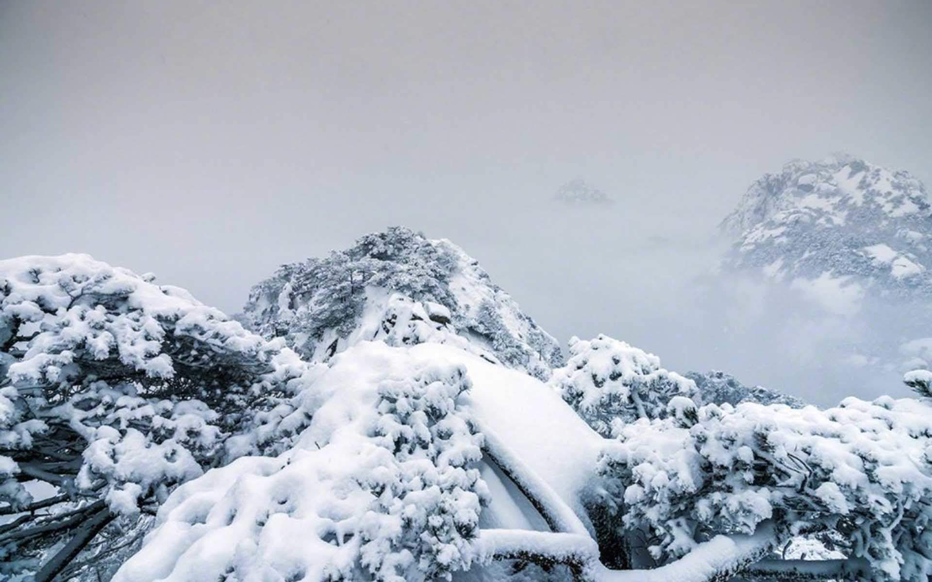 冯若绮清新雪景写真图片图片