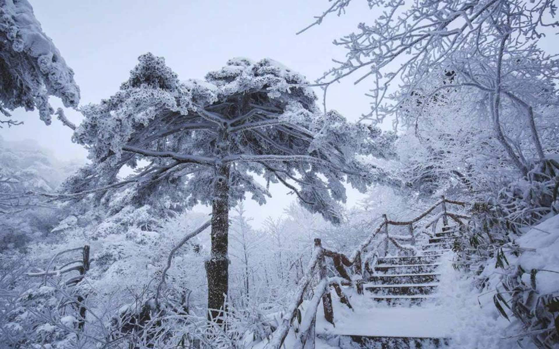 冯若绮清新雪景写真图片图片