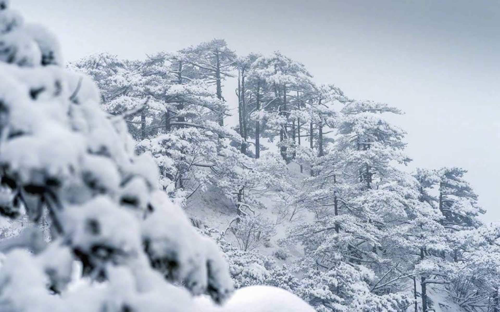 马苏雪景唯美浪漫写真图片图片