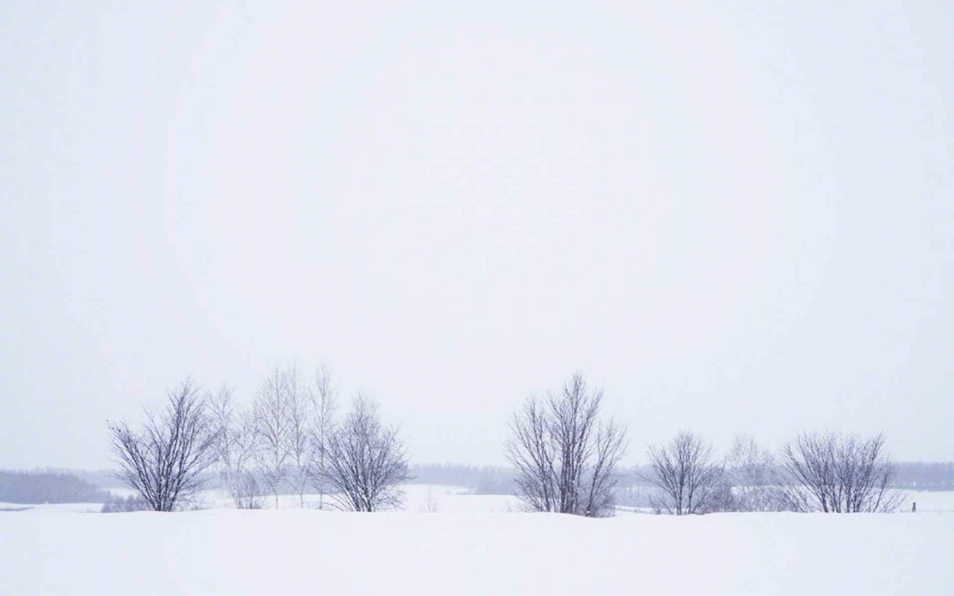 马苏雪景唯美浪漫写真图片图片