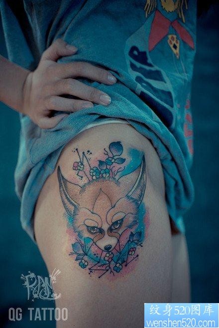 狐狸图片高清电脑桌面壁纸图片