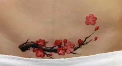 小蛮腰图片