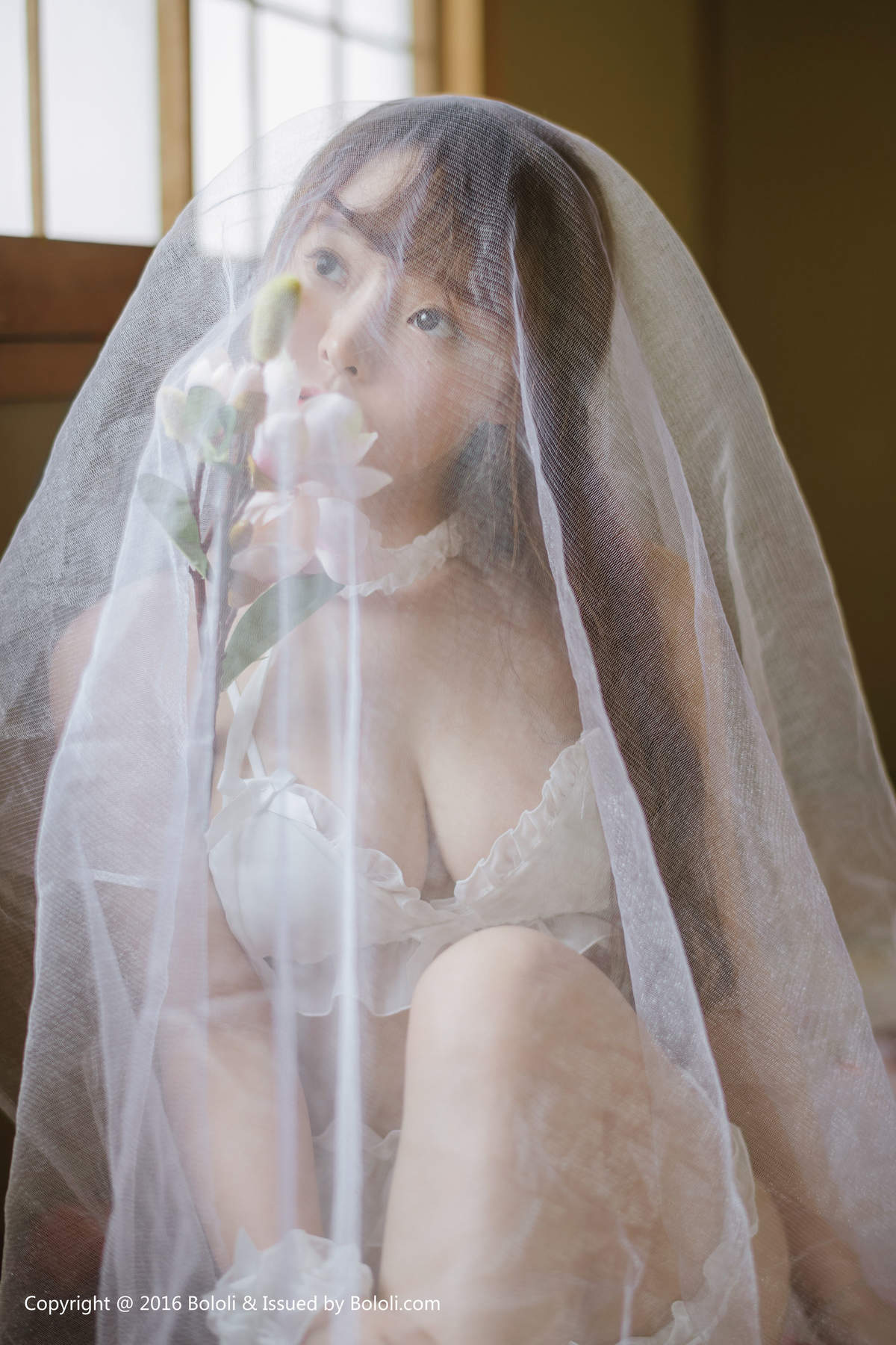 柳侑绮图片