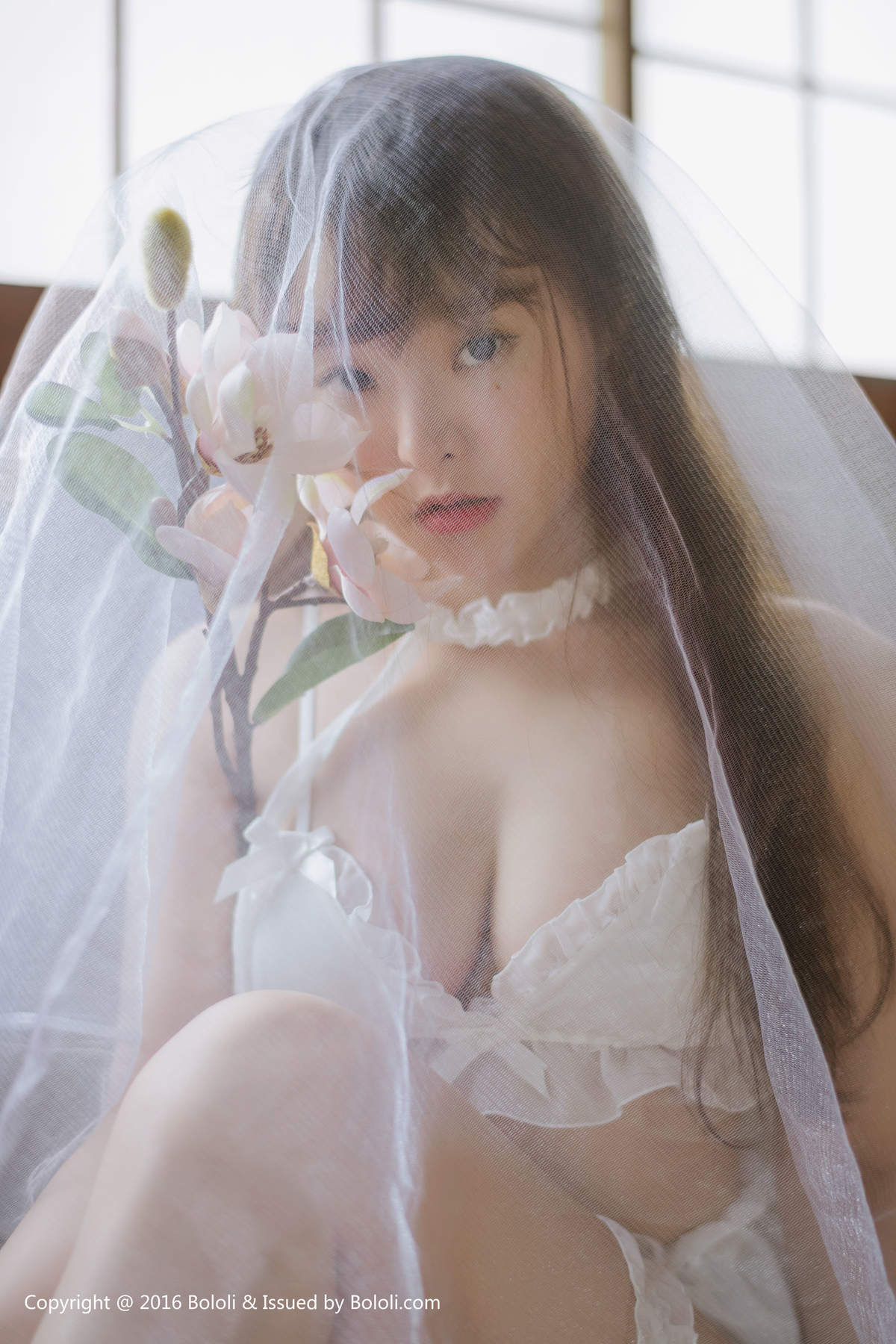 柳侑绮图片