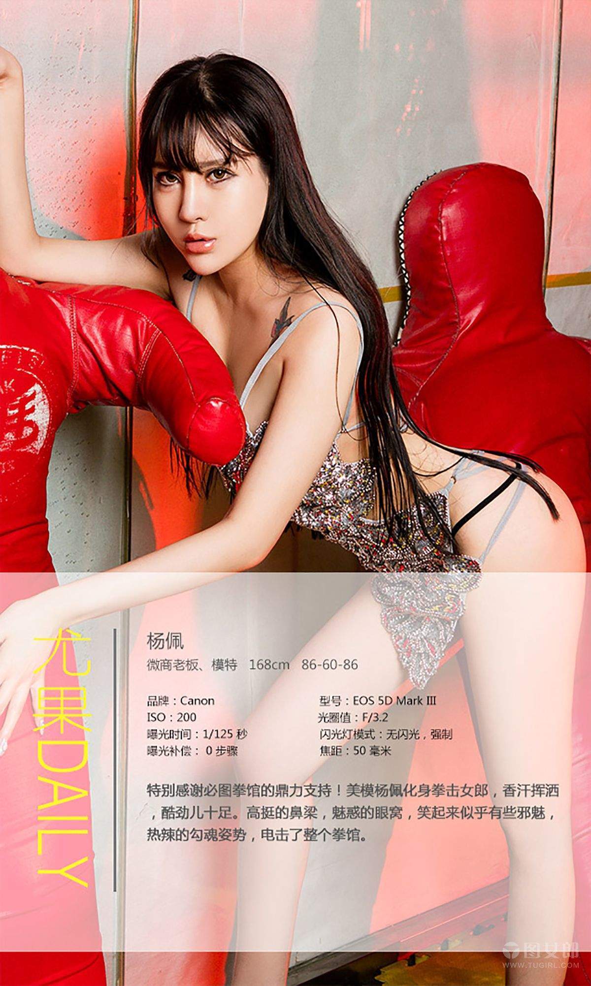 美女杨佩图片